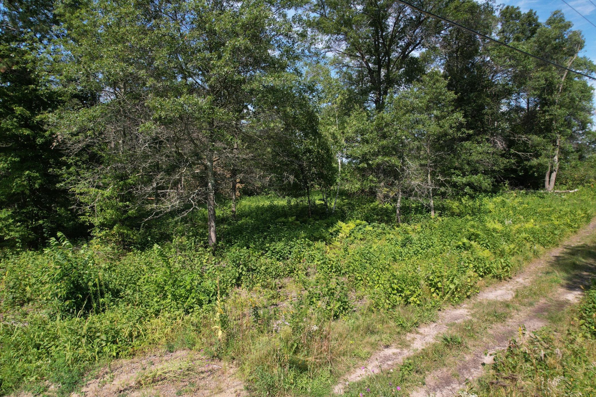 land for sale at Lot 2 Patriot Ave in Pequot Lakes, MN (photo 30 of 41)