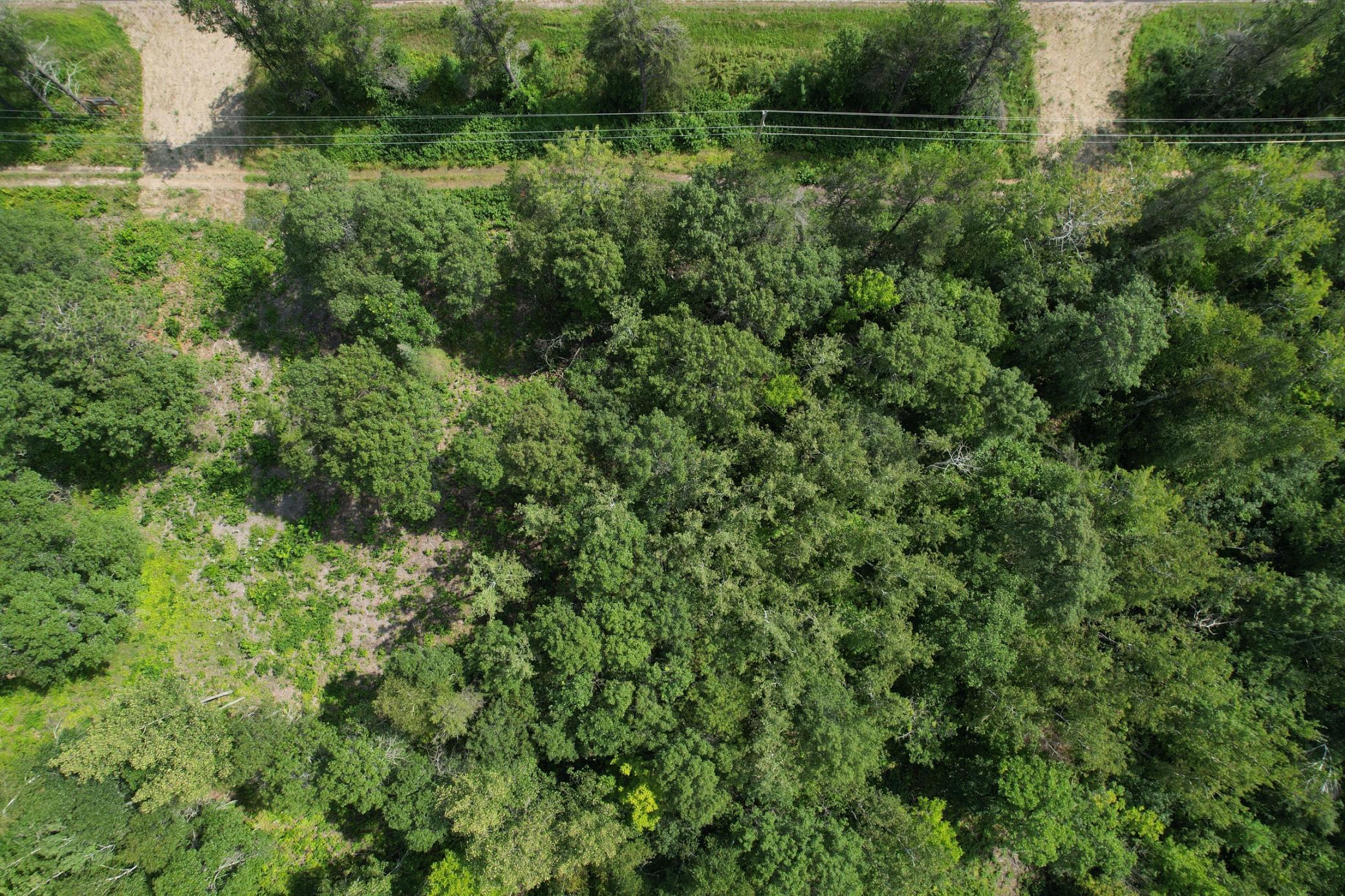 land for sale at Lot 2 Patriot Ave in Pequot Lakes, MN (photo 39 of 41)