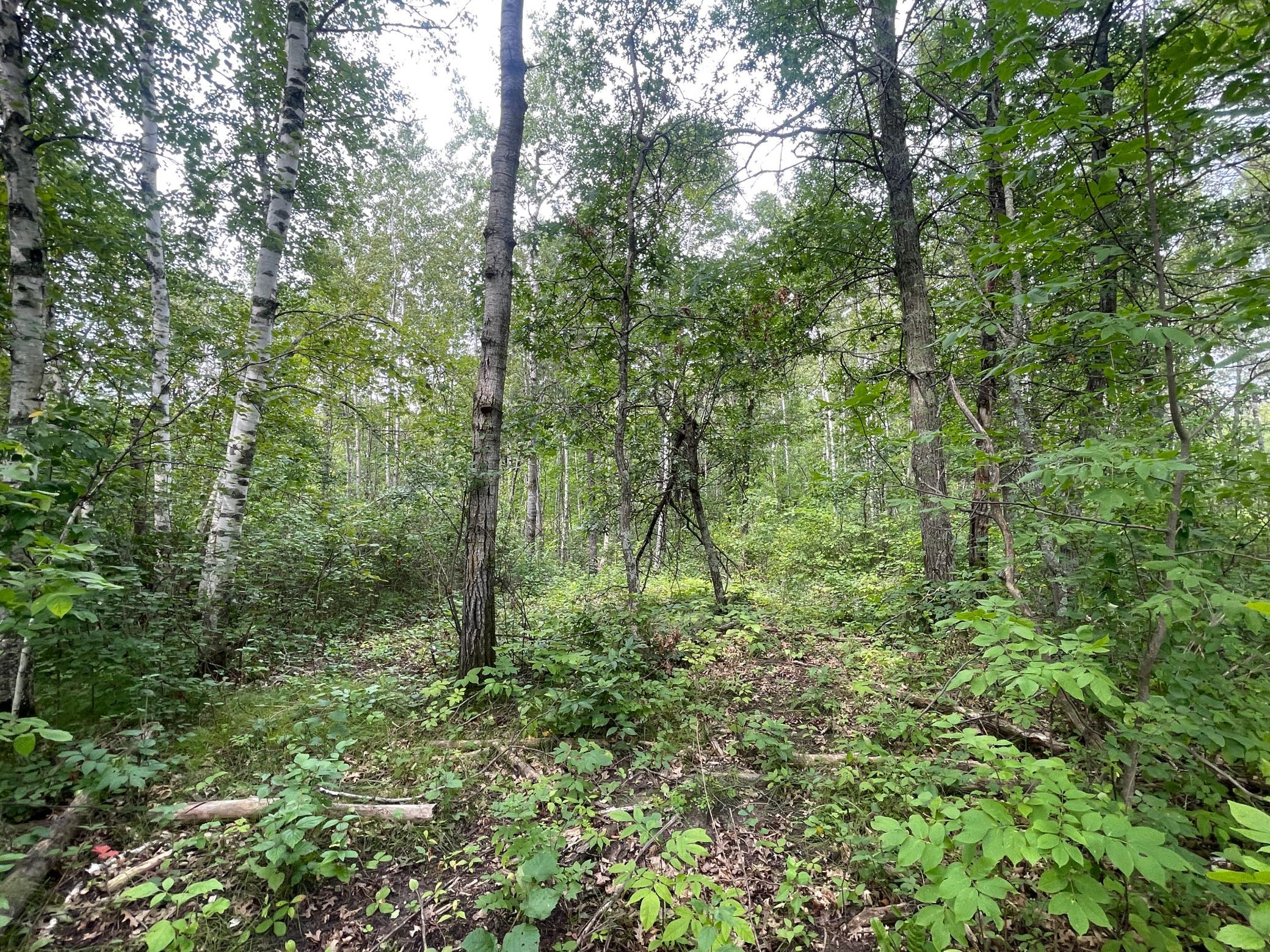 land for sale at Lot 2 Patriot Ave in Pequot Lakes, MN (photo 5 of 41)