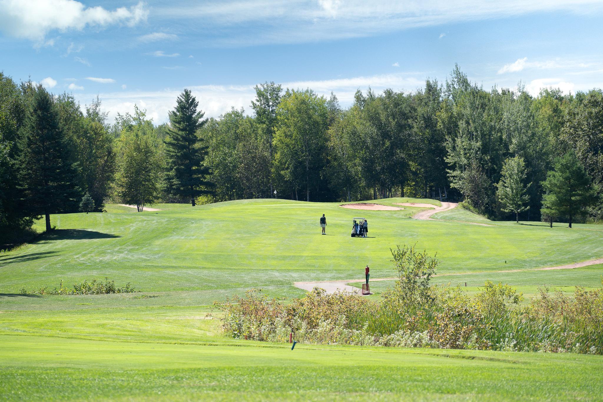 land for sale at Outlot L & M TBD in Coleraine, MN (photo 2 of 4)