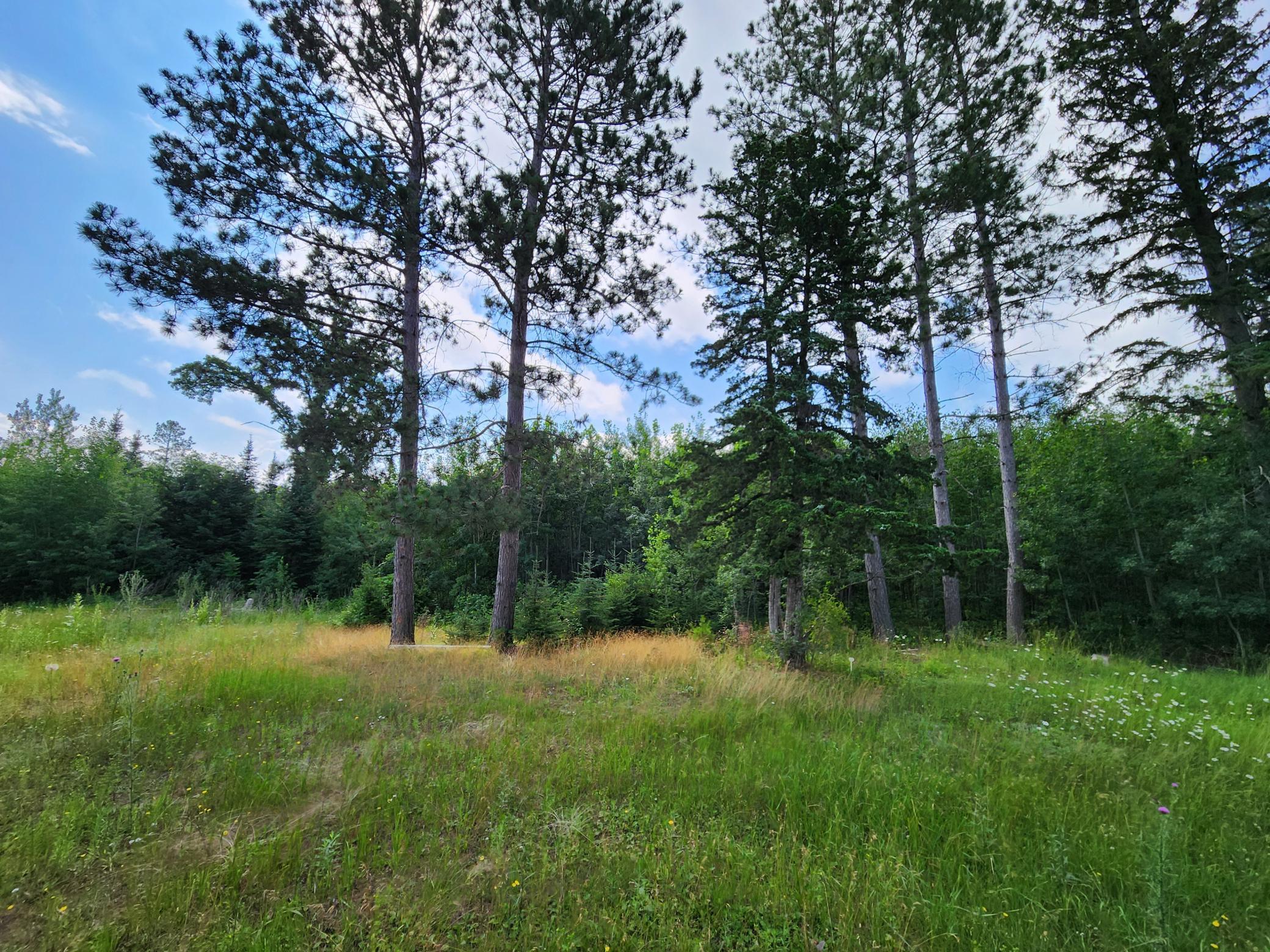 land for sale at 18575 State 34 in Park Rapids, MN (photo 6 of 9)