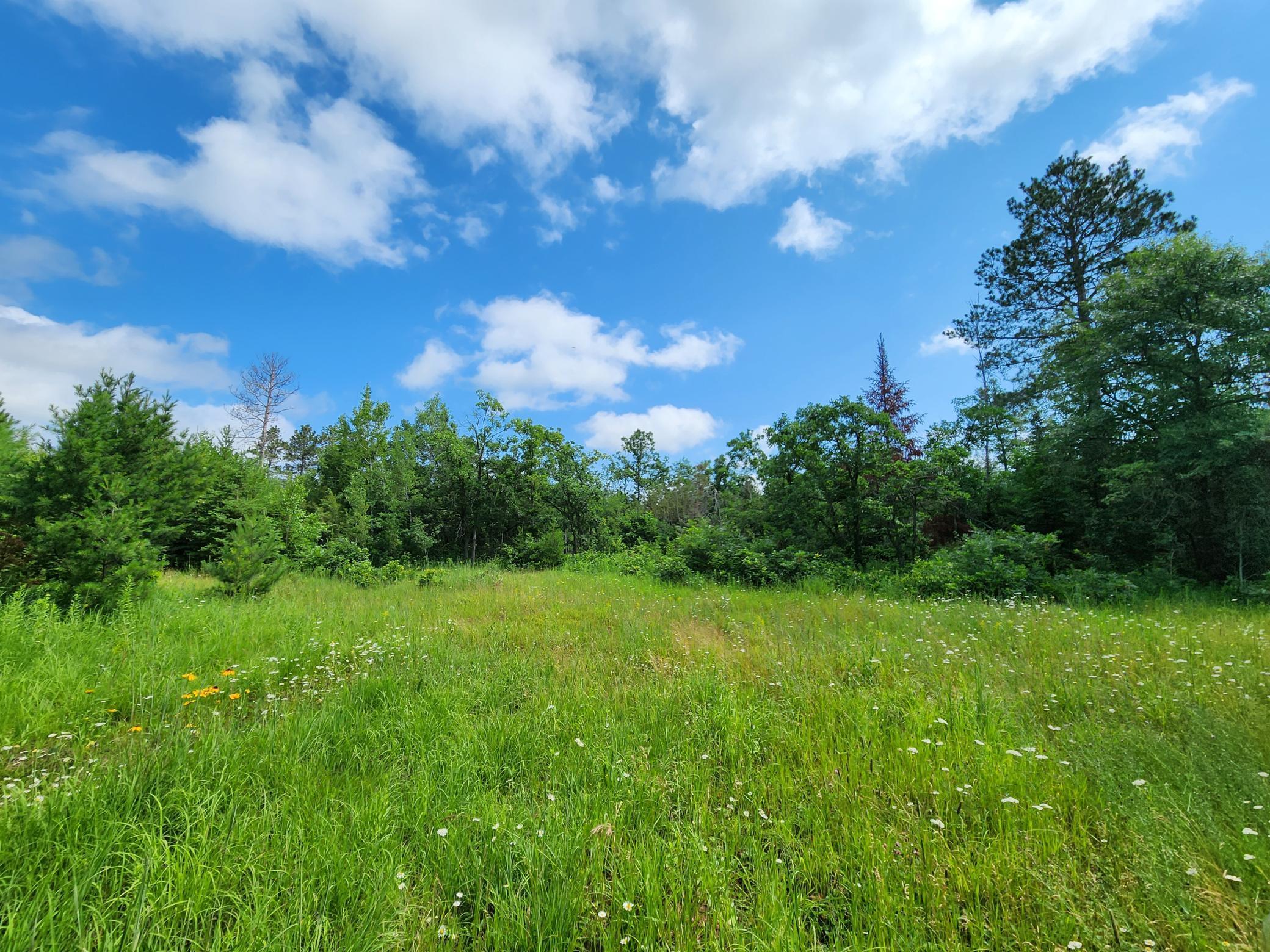land for sale at 18575 State 34 in Park Rapids, MN (photo 7 of 9)