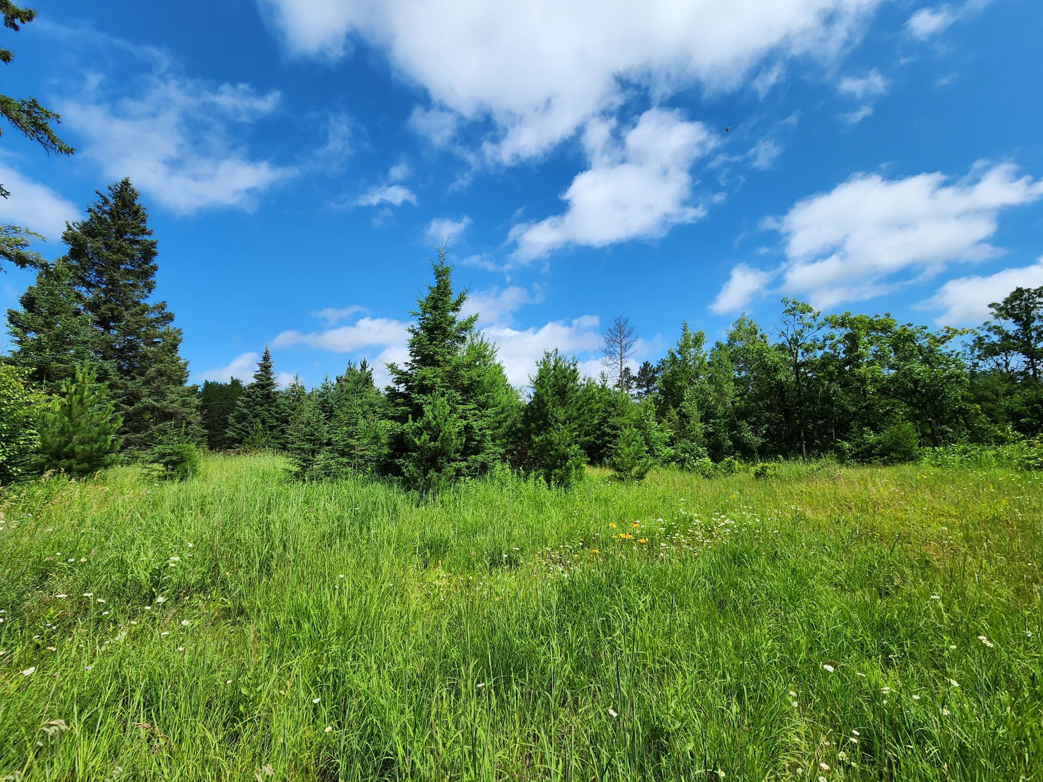 land for sale at 18575 State 34 in Park Rapids, MN (photo 8 of 9)