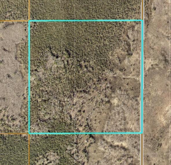 land for sale at TBD XXX in Emily, MN