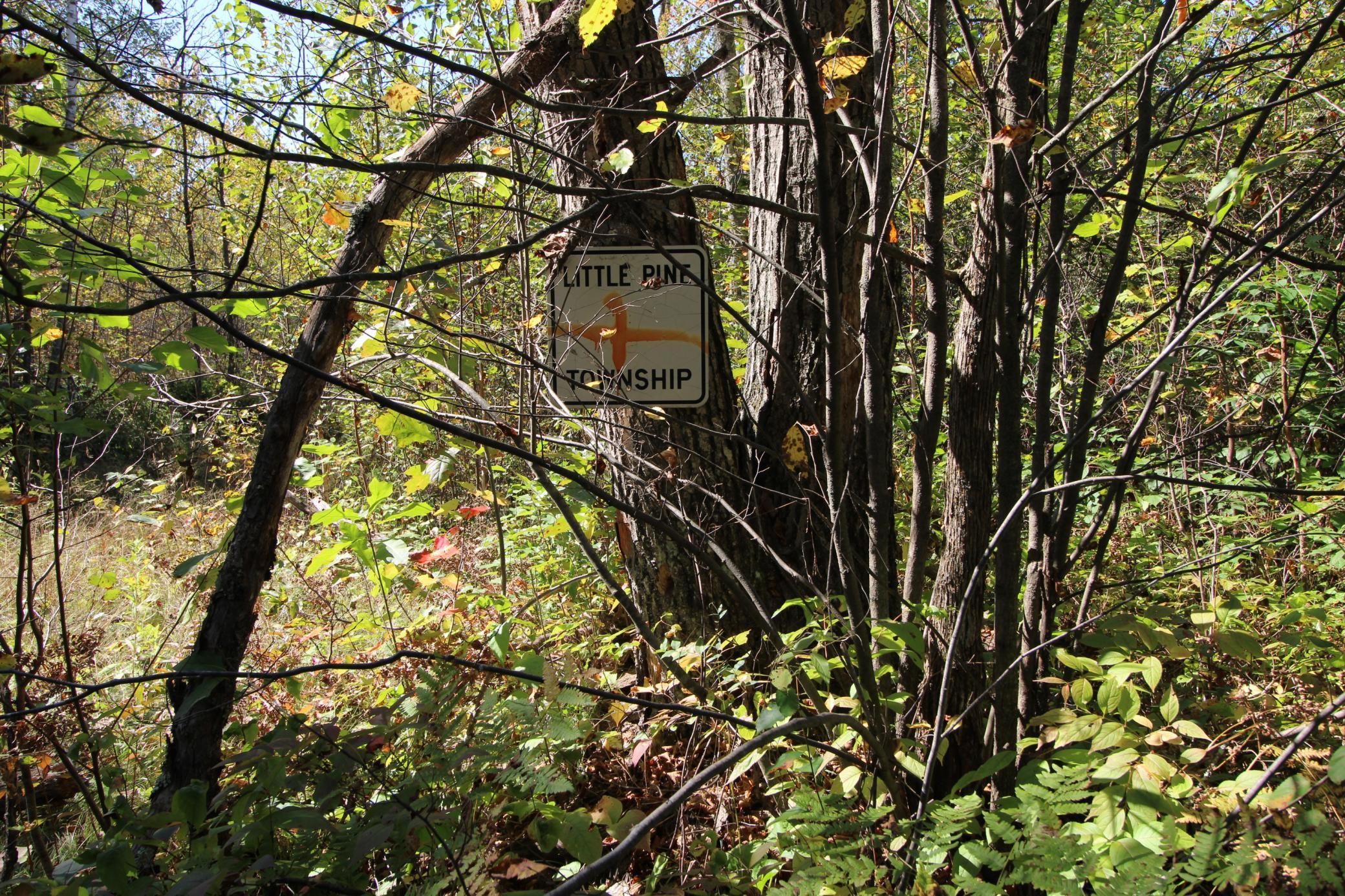 land for sale at TBD XXX in Emily, MN (photo 4 of 7)