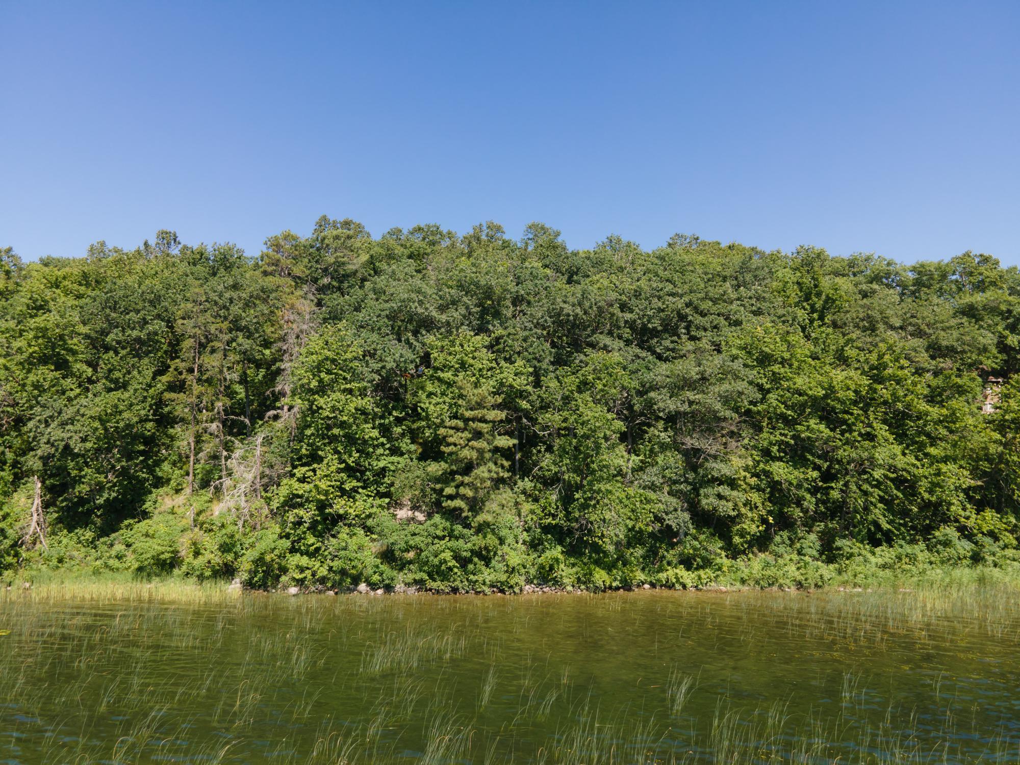 land for sale at TBD Lot D Ann Marie Lane NW in Walker, MN (photo 8 of 8)