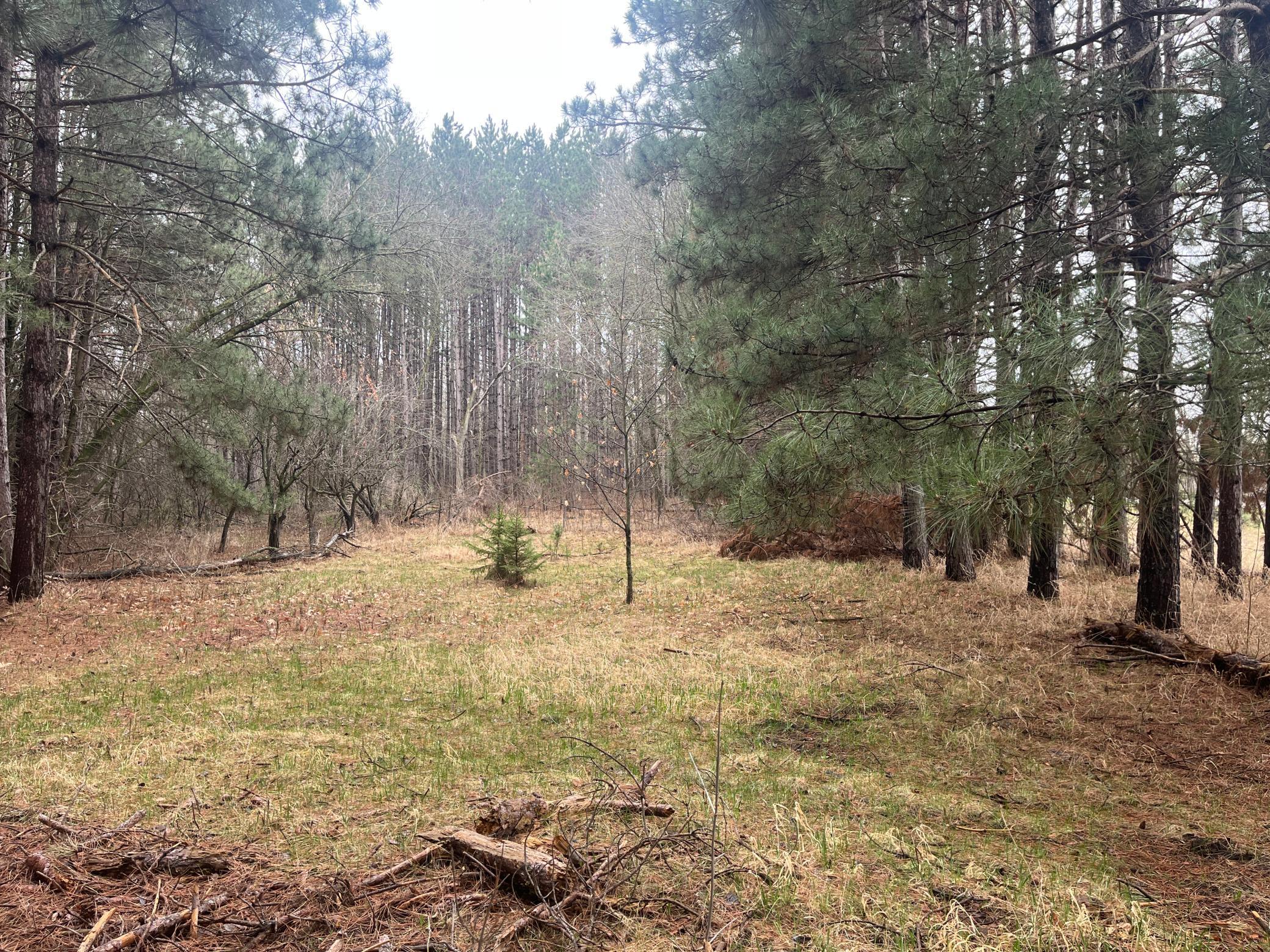 land for sale at Xxxxx Old 67 Road in Henning, MN