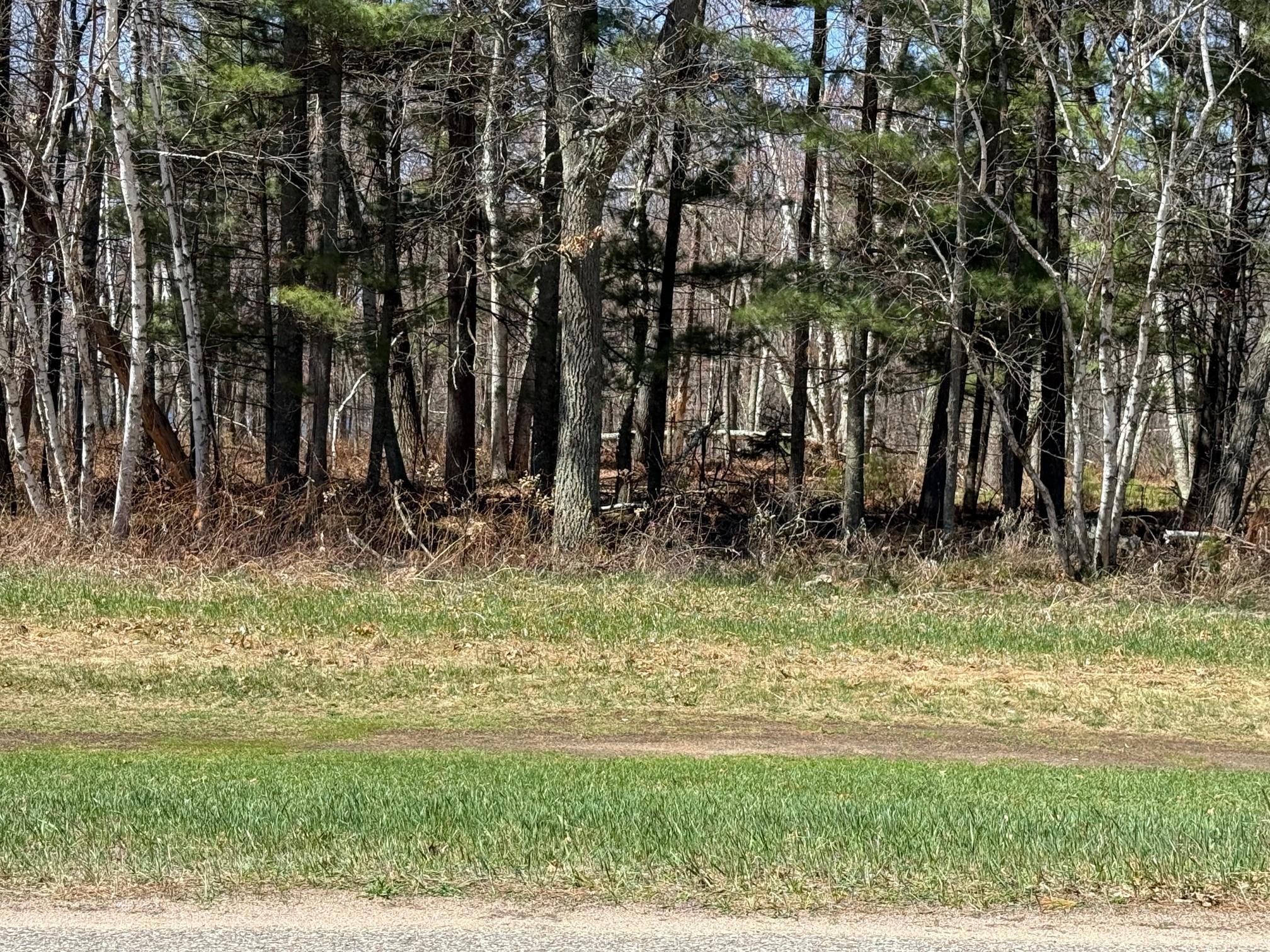 land for sale at TBD County Road 4 in Pequot Lakes, MN