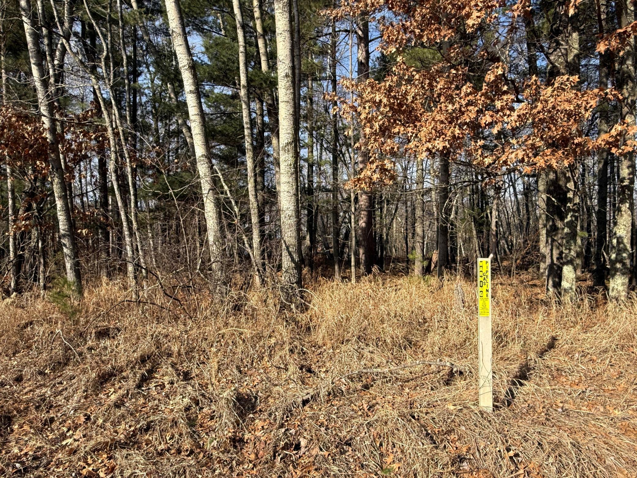 land for sale at TBD County Road 4 in Pequot Lakes, MN (photo 11 of 14)