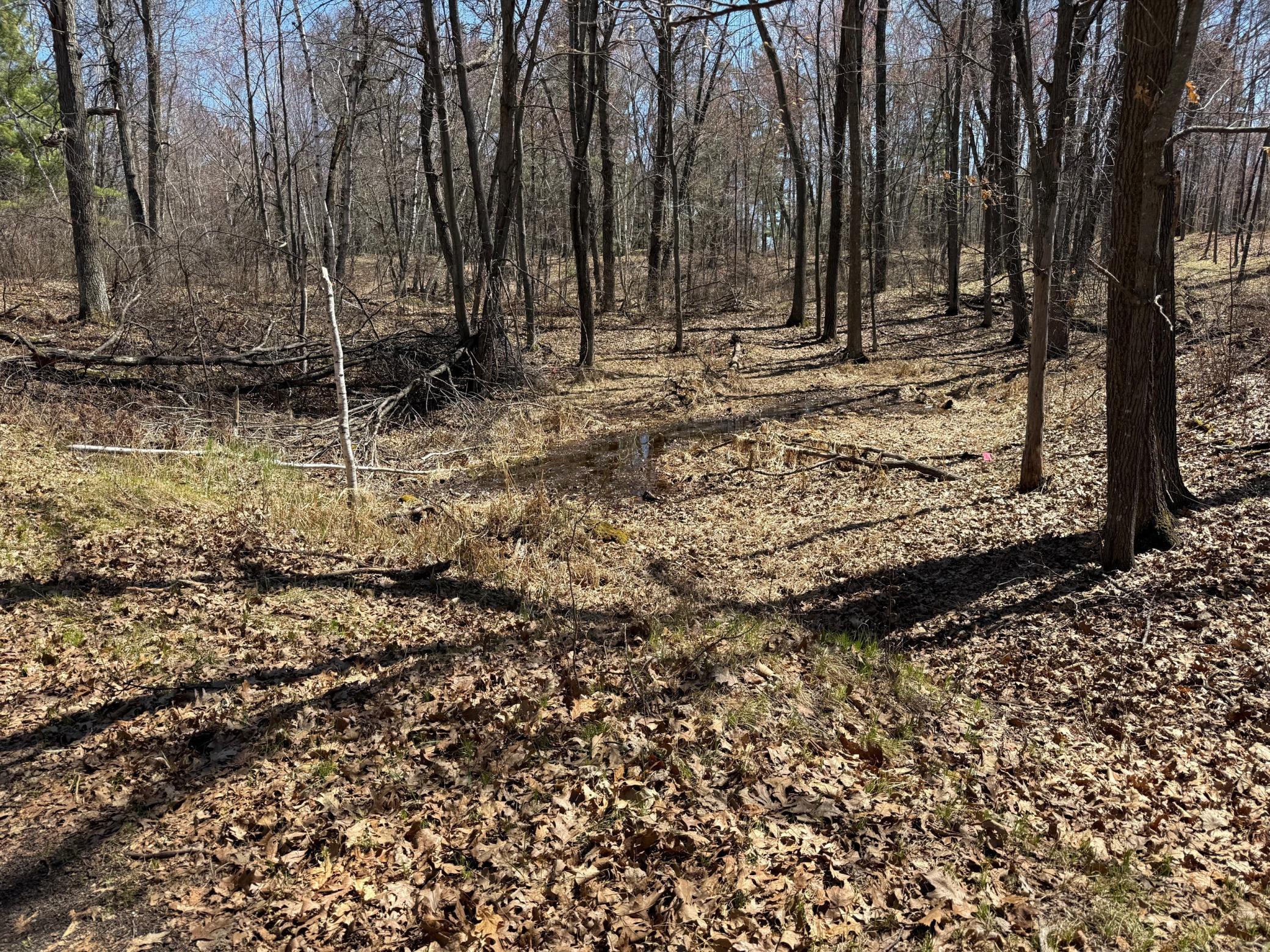 land for sale at TBD County Road 4 in Pequot Lakes, MN (photo 12 of 14)