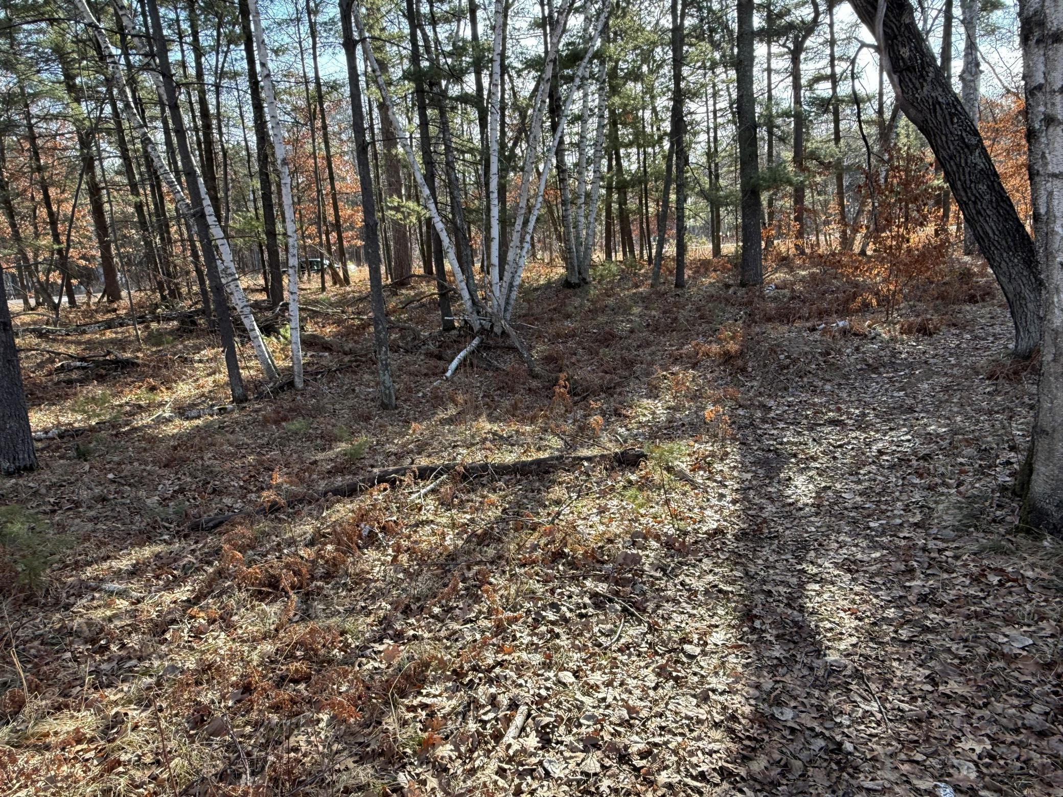 land for sale at TBD County Road 4 in Pequot Lakes, MN (photo 6 of 14)