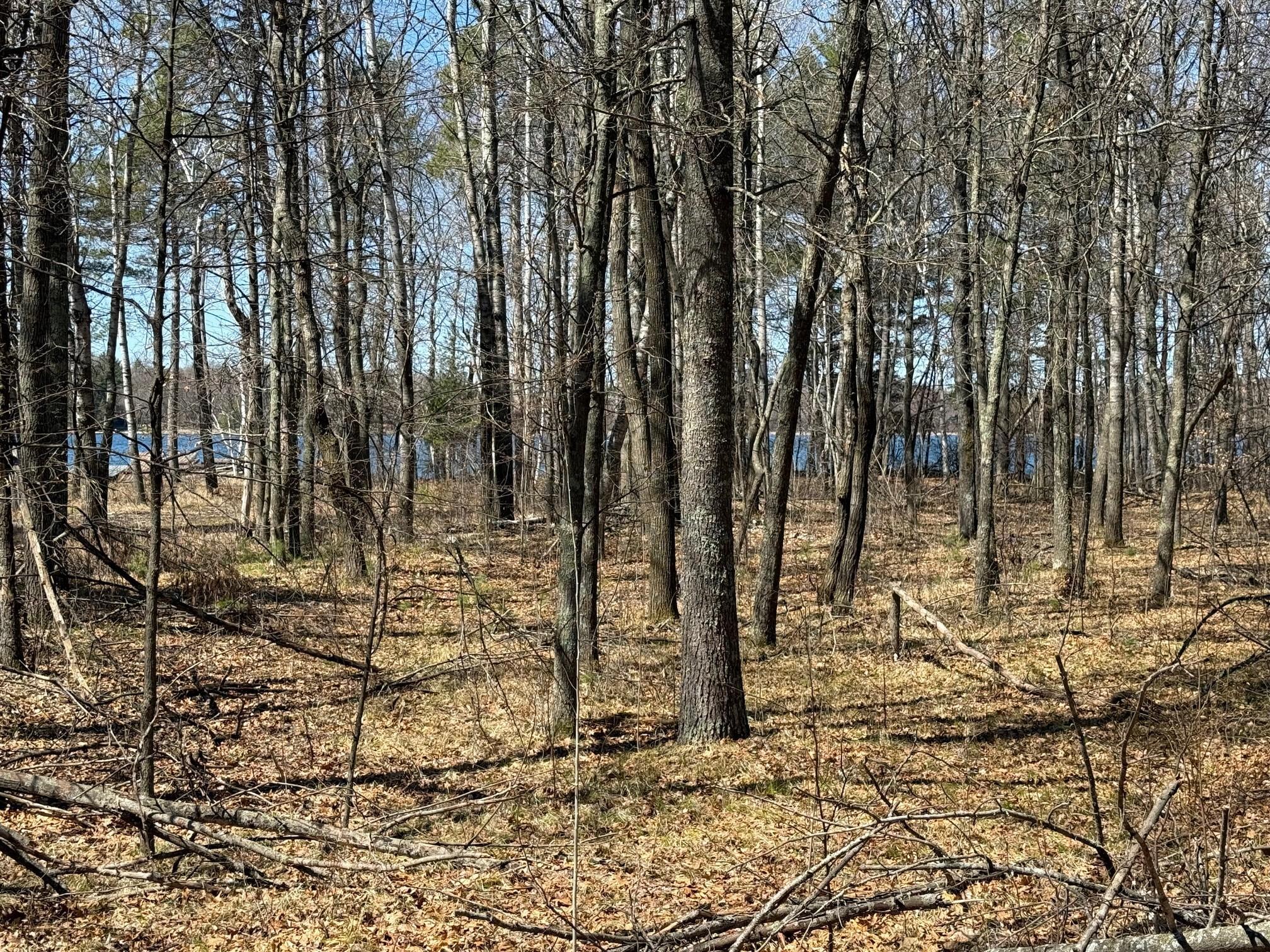 land for sale at TBD County Road 4 in Pequot Lakes, MN (photo 7 of 14)
