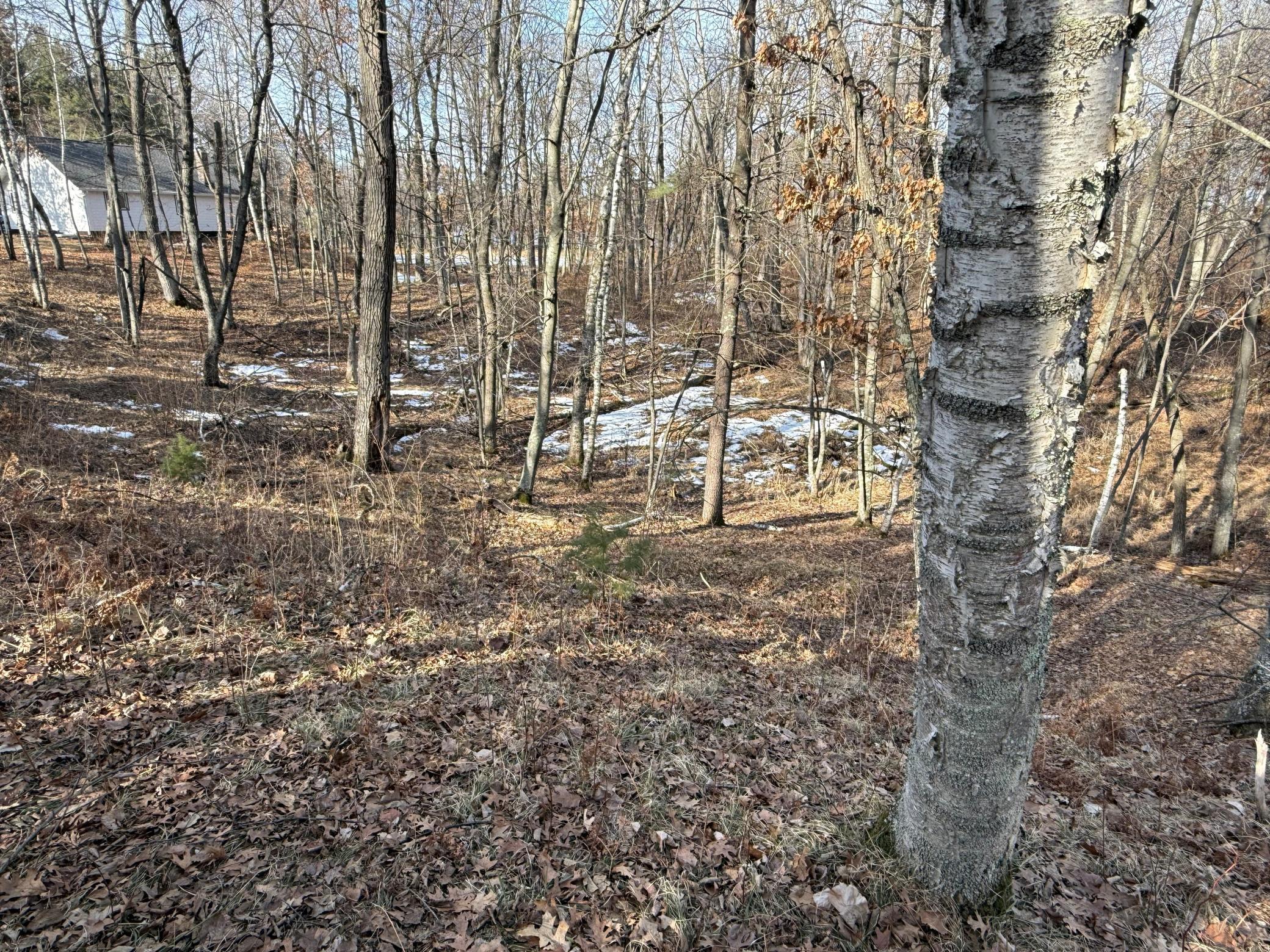 land for sale at TBD County Road 4 in Pequot Lakes, MN (photo 10 of 14)