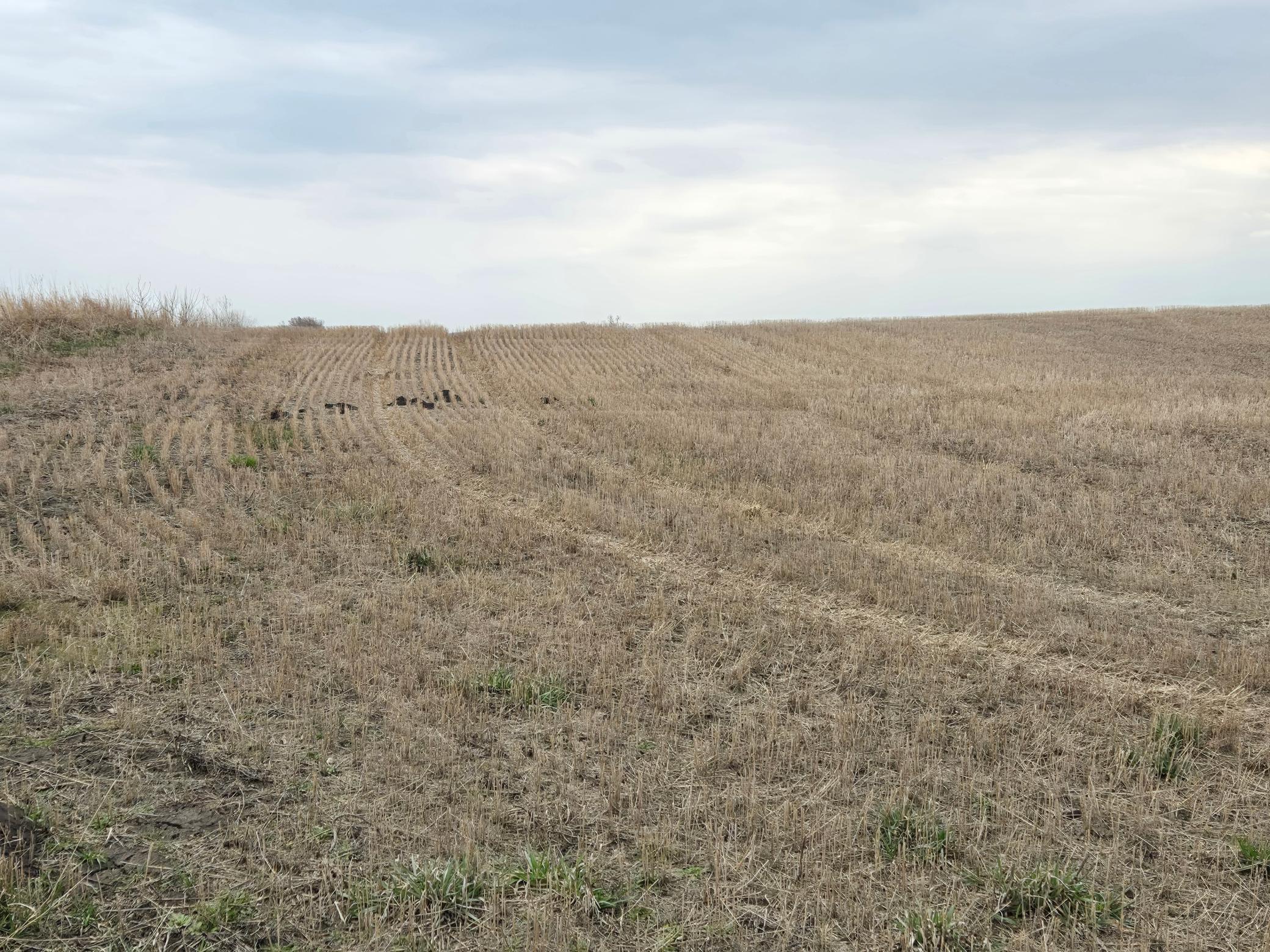 land for sale at (LOT A) TBD 100th Avenue in Barnesville, MN (photo 6 of 12)