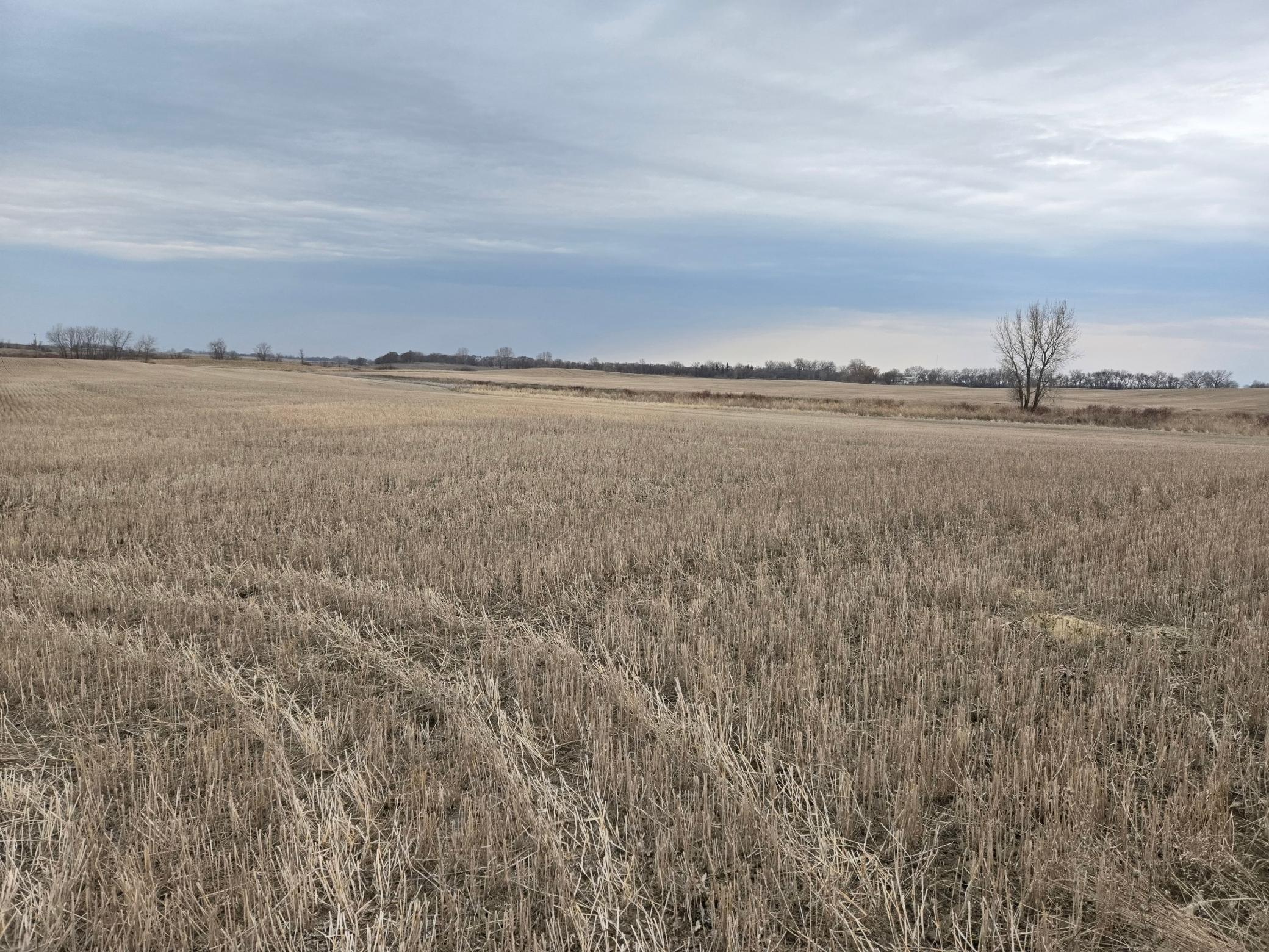 land for sale at (LOT A) TBD 100th Avenue in Barnesville, MN (photo 8 of 12)