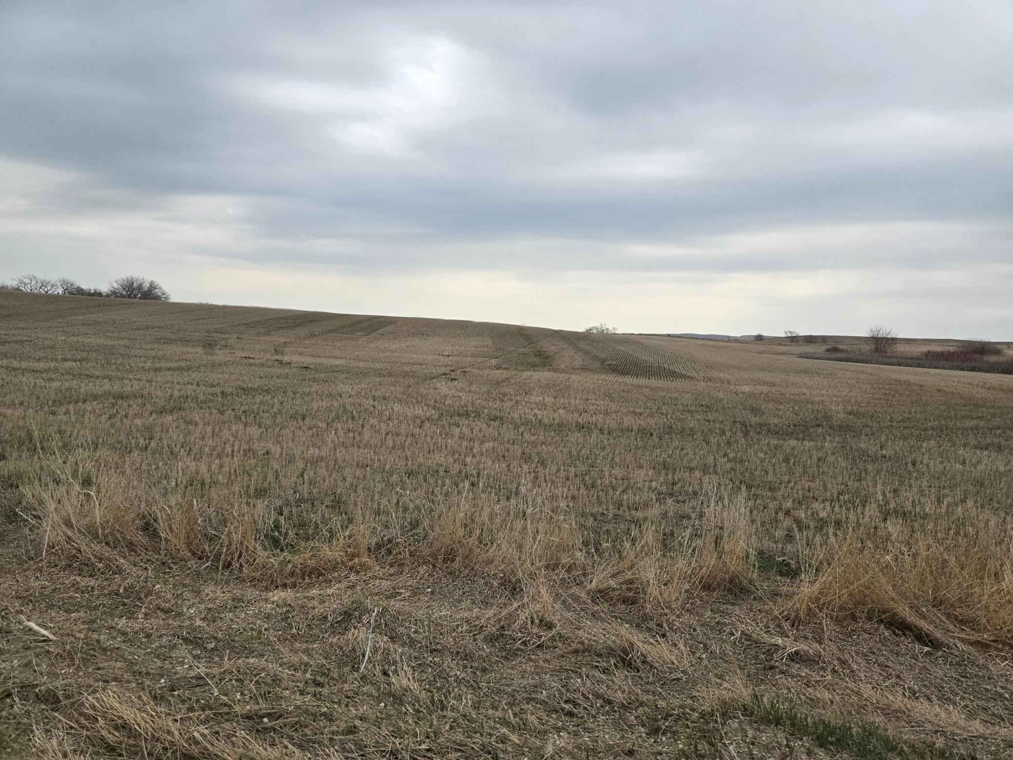land for sale at (LOT A) TBD 100th Avenue in Barnesville, MN (photo 9 of 12)