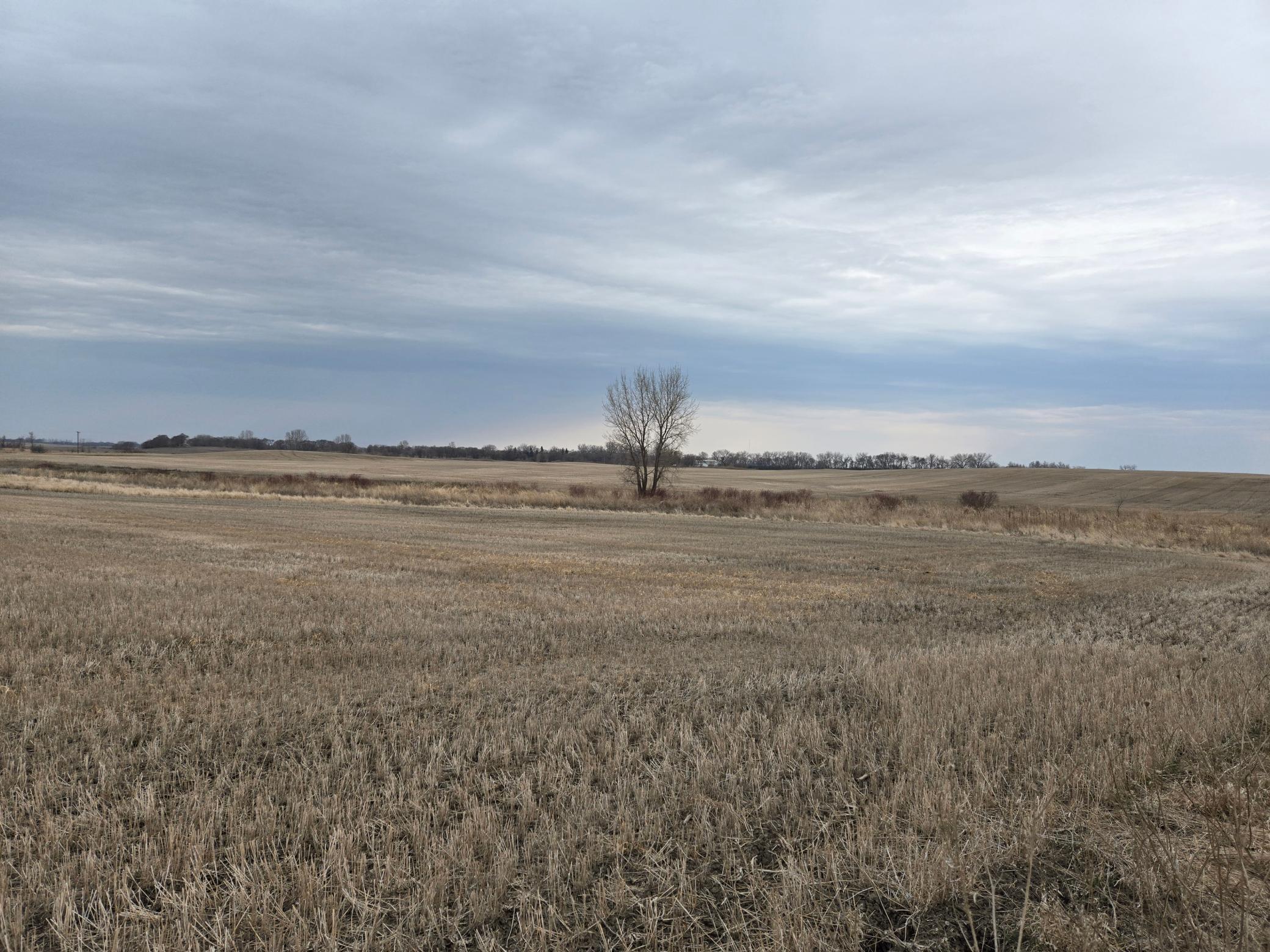 land for sale at (LOT B) TBD 100th Avenue in Barnesville, MN (photo 4 of 9)