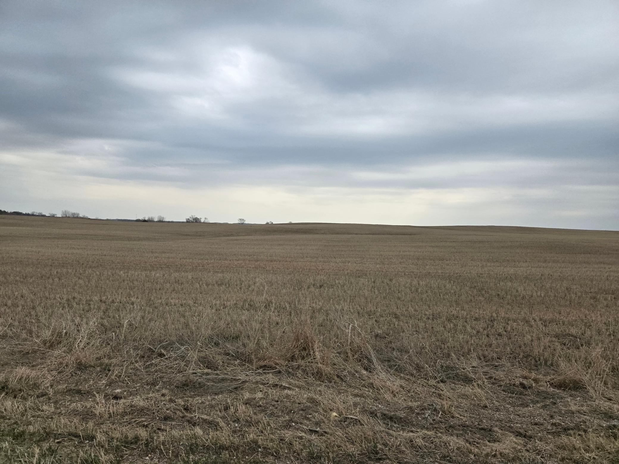land for sale at (LOT B) TBD 100th Avenue in Barnesville, MN (photo 5 of 9)