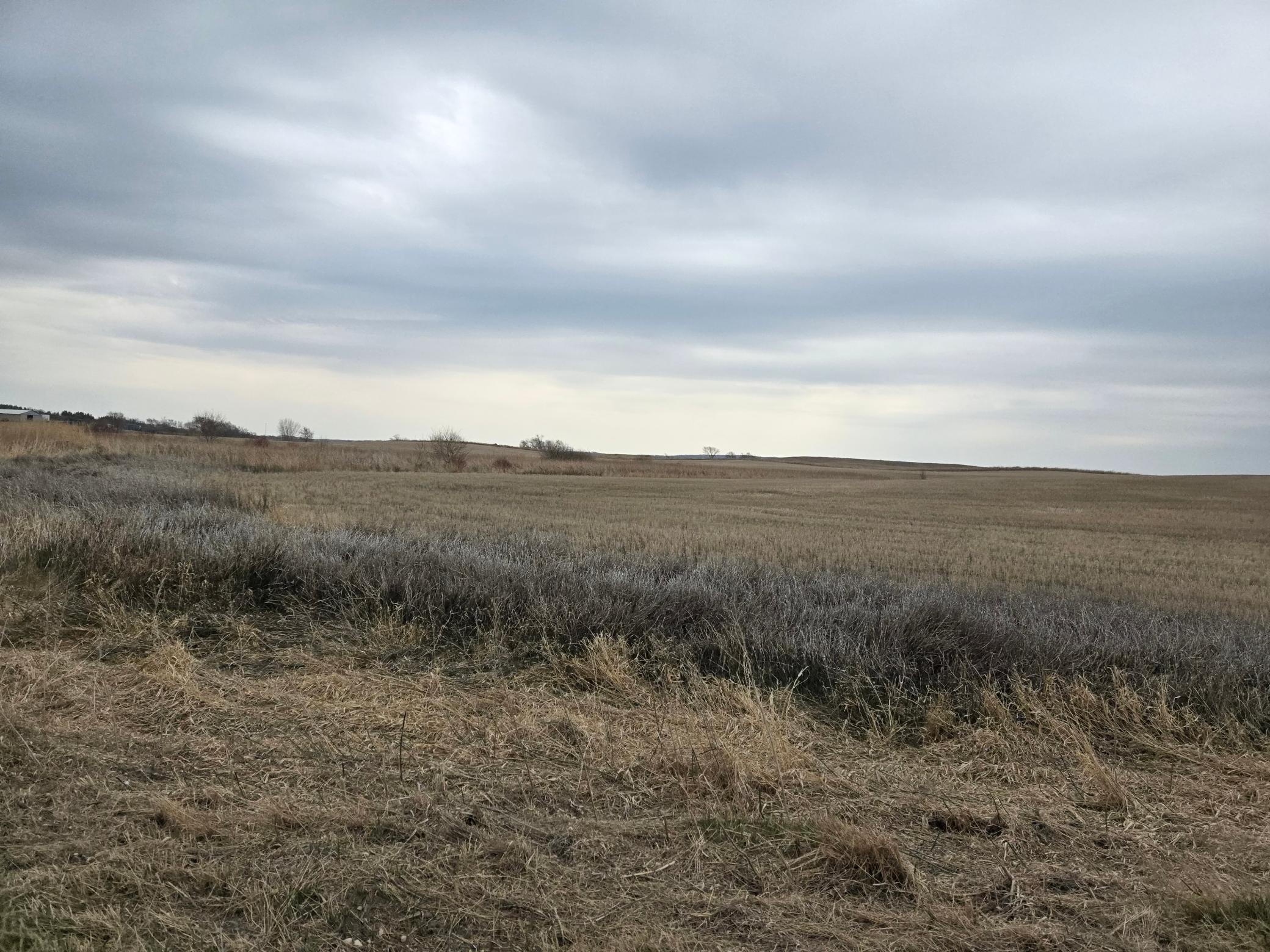 land for sale at (LOT B) TBD 100th Avenue in Barnesville, MN (photo 6 of 9)