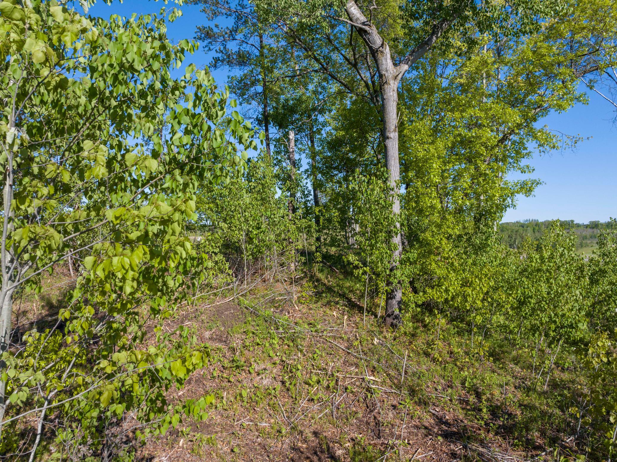 land for sale at Craguns Legacy Ridge Lot 6 16288 Tom Lehman Drive in Brainerd, MN (photo 5 of 17)