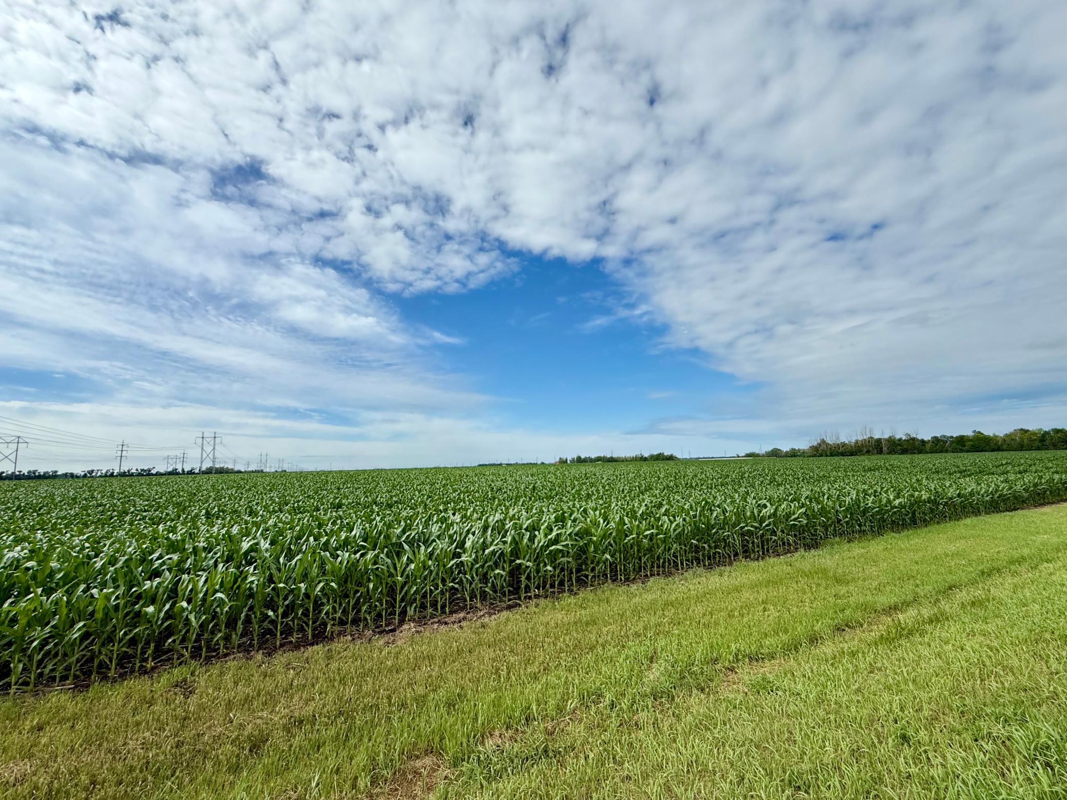 land for sale at 5386 52 Avenue N in Fargo, ND (photo 2 of 11)