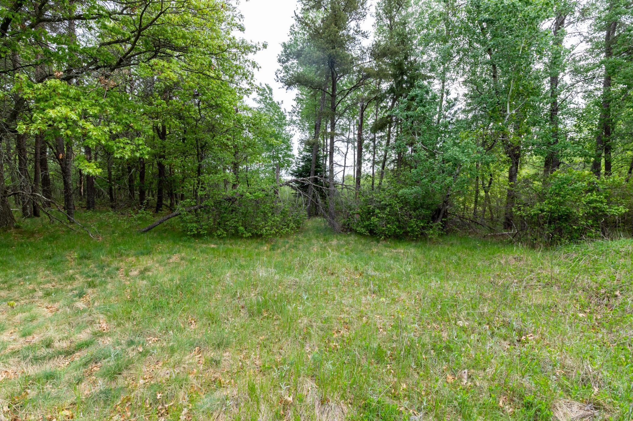 land for sale at 5394 Clearwater Road in Baxter, MN (photo 8 of 15)