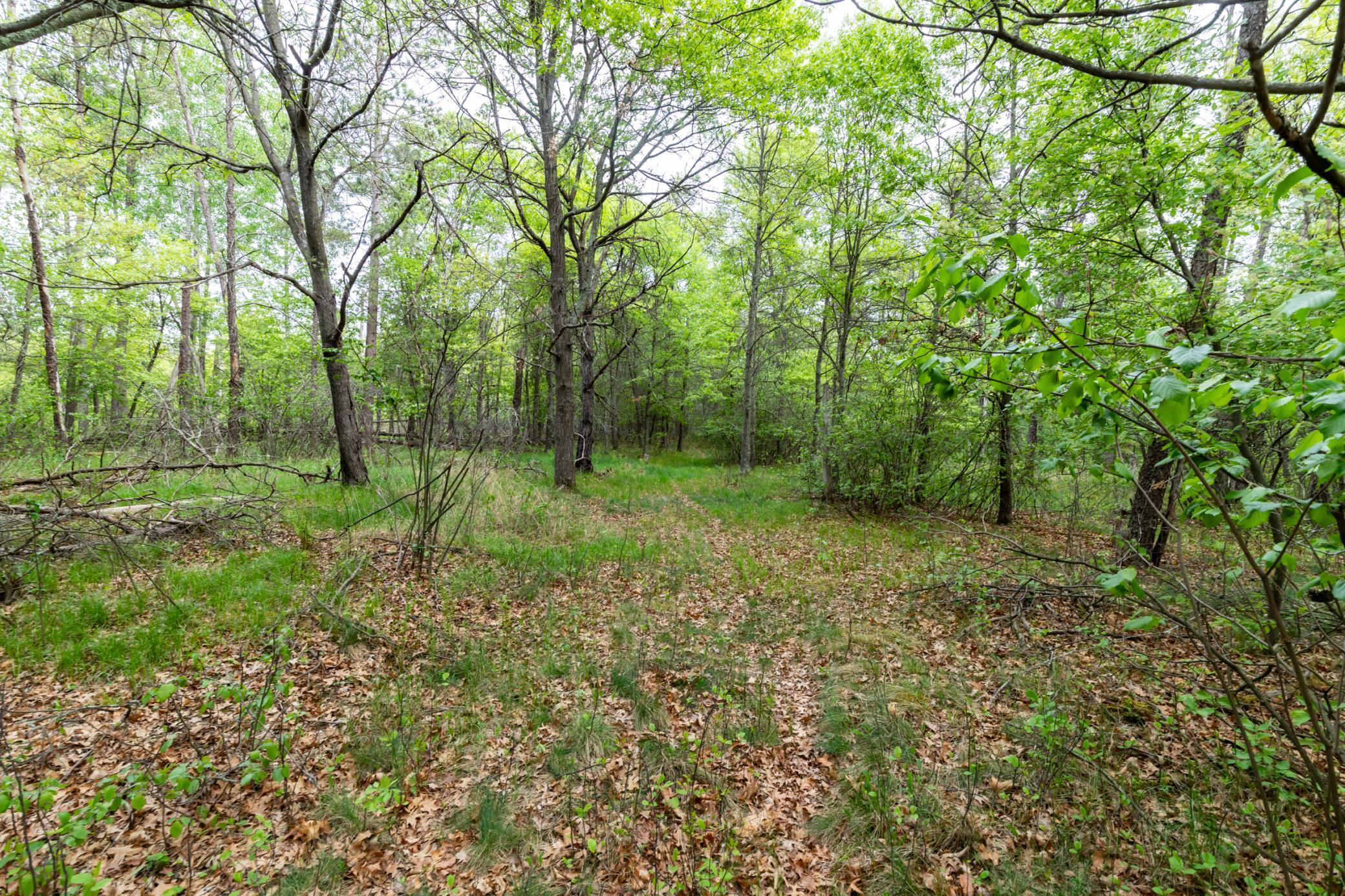 land for sale at 5394 Clearwater Road in Baxter, MN (photo 9 of 15)
