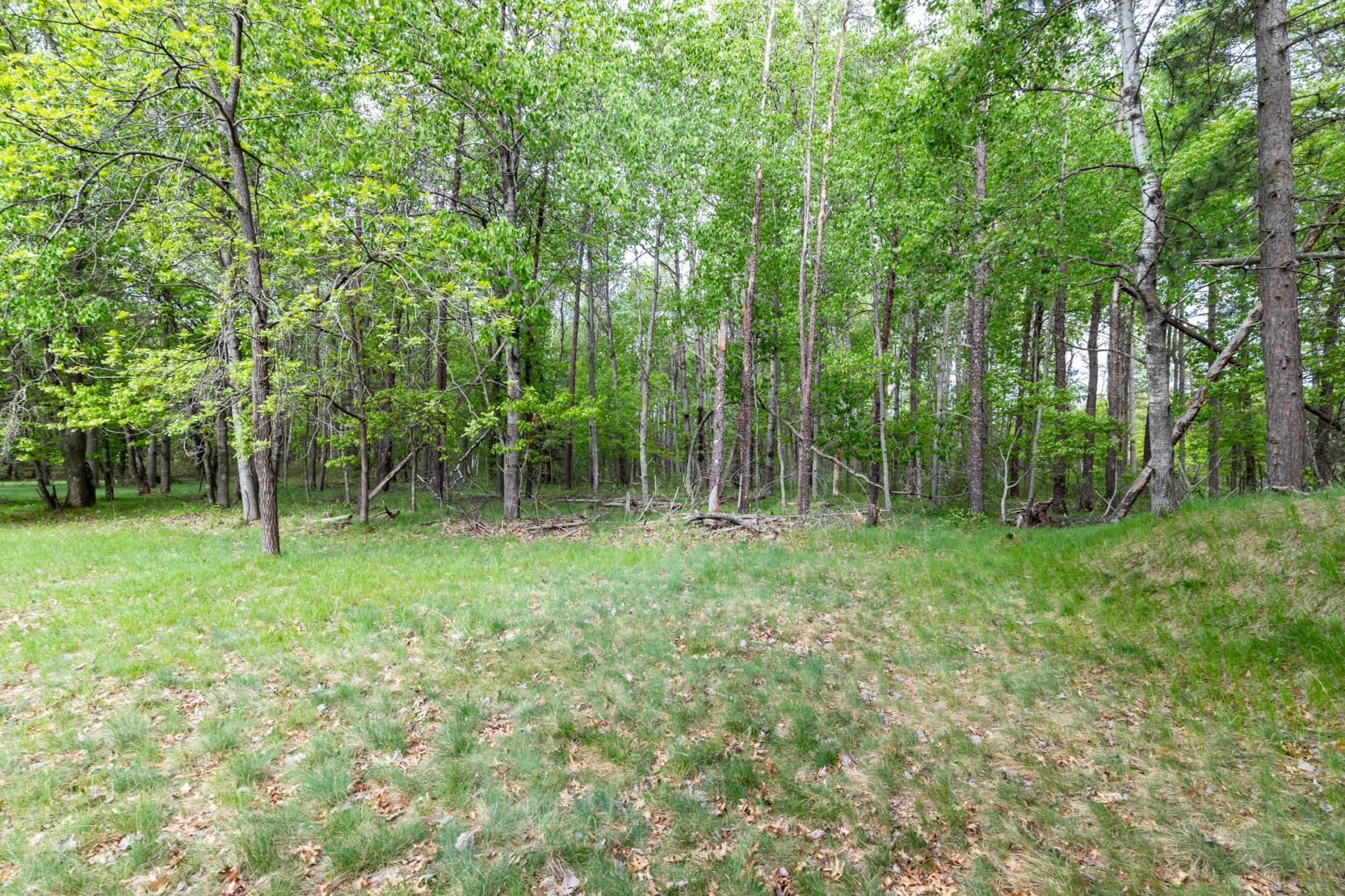 land for sale at 5394 Clearwater Road in Baxter, MN (photo 10 of 15)
