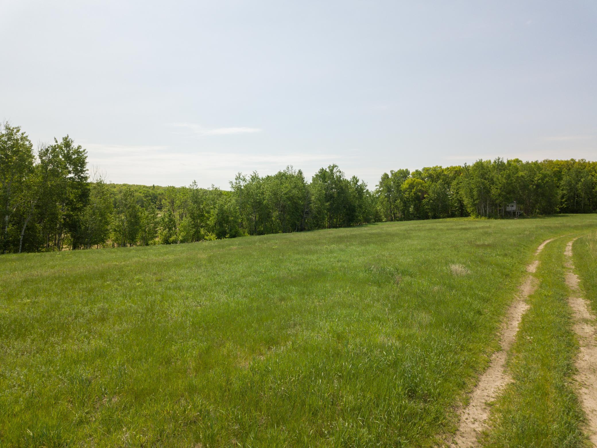 TBD Highway 210, Staples MN 56479 - Photo 6 of 9