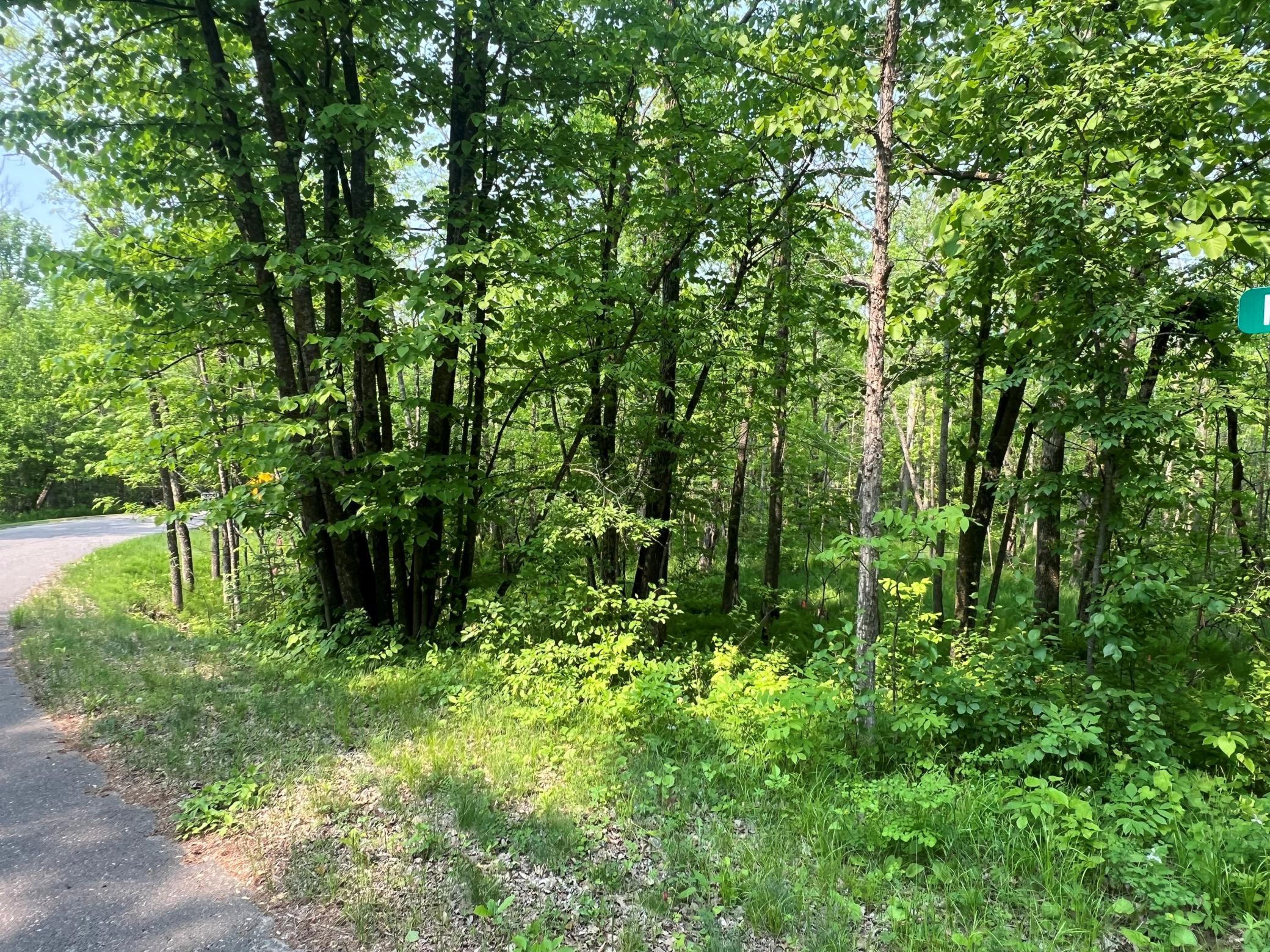 land for sale at TBD Dettbarn Rd. in Nisswa, MN (photo 3 of 6)