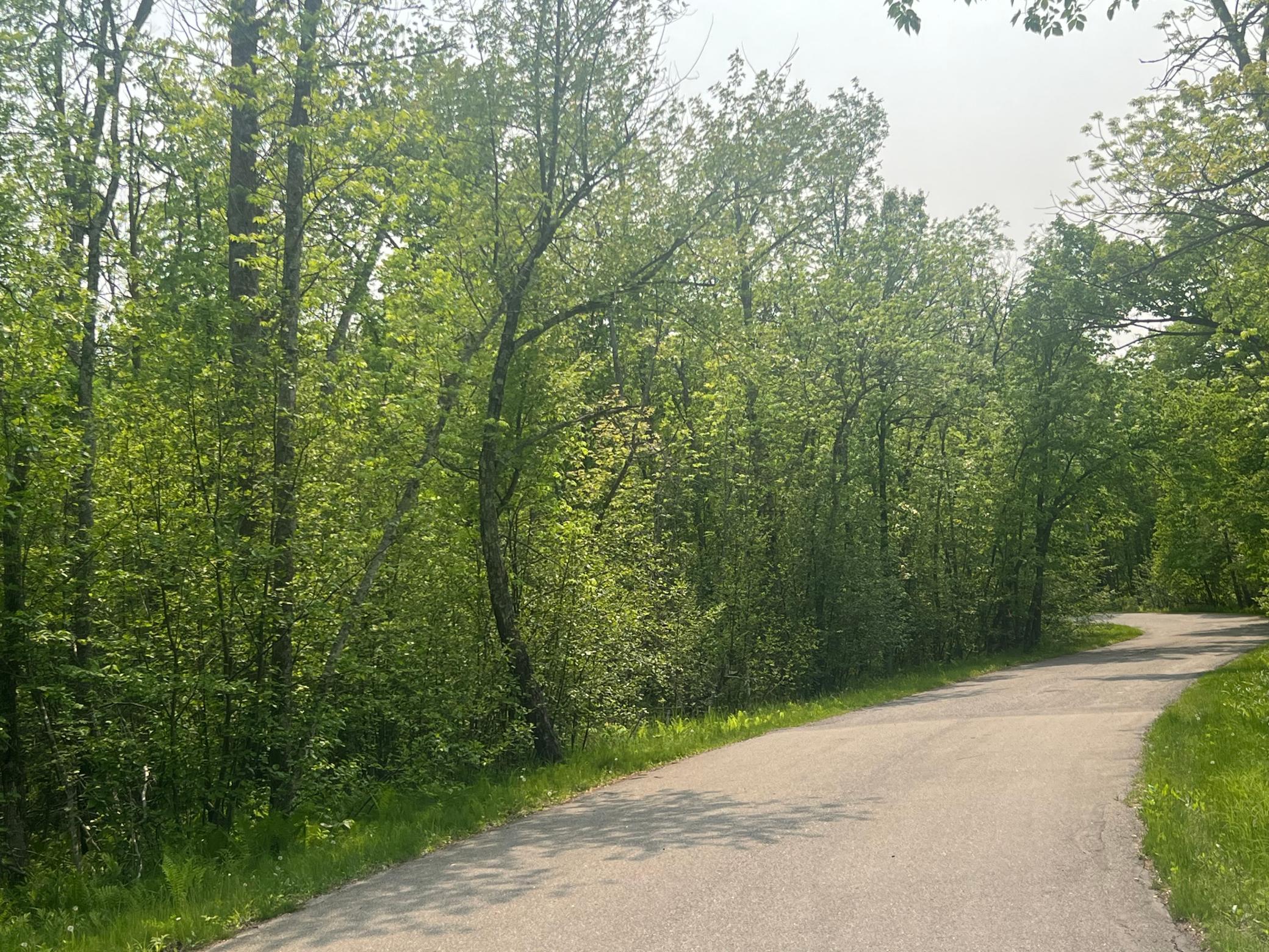 land for sale at TBD Dettbarn Rd. in Nisswa, MN (photo 5 of 6)
