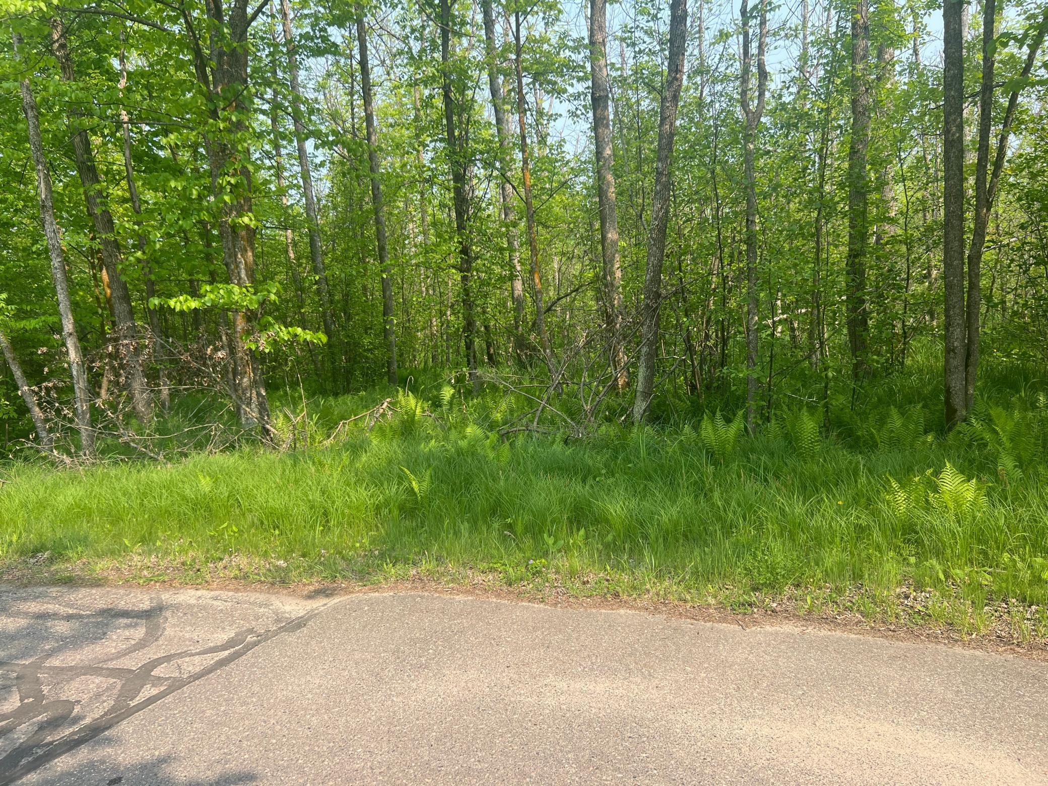 land for sale at TBD Dettbarn Rd. in Nisswa, MN (photo 6 of 6)