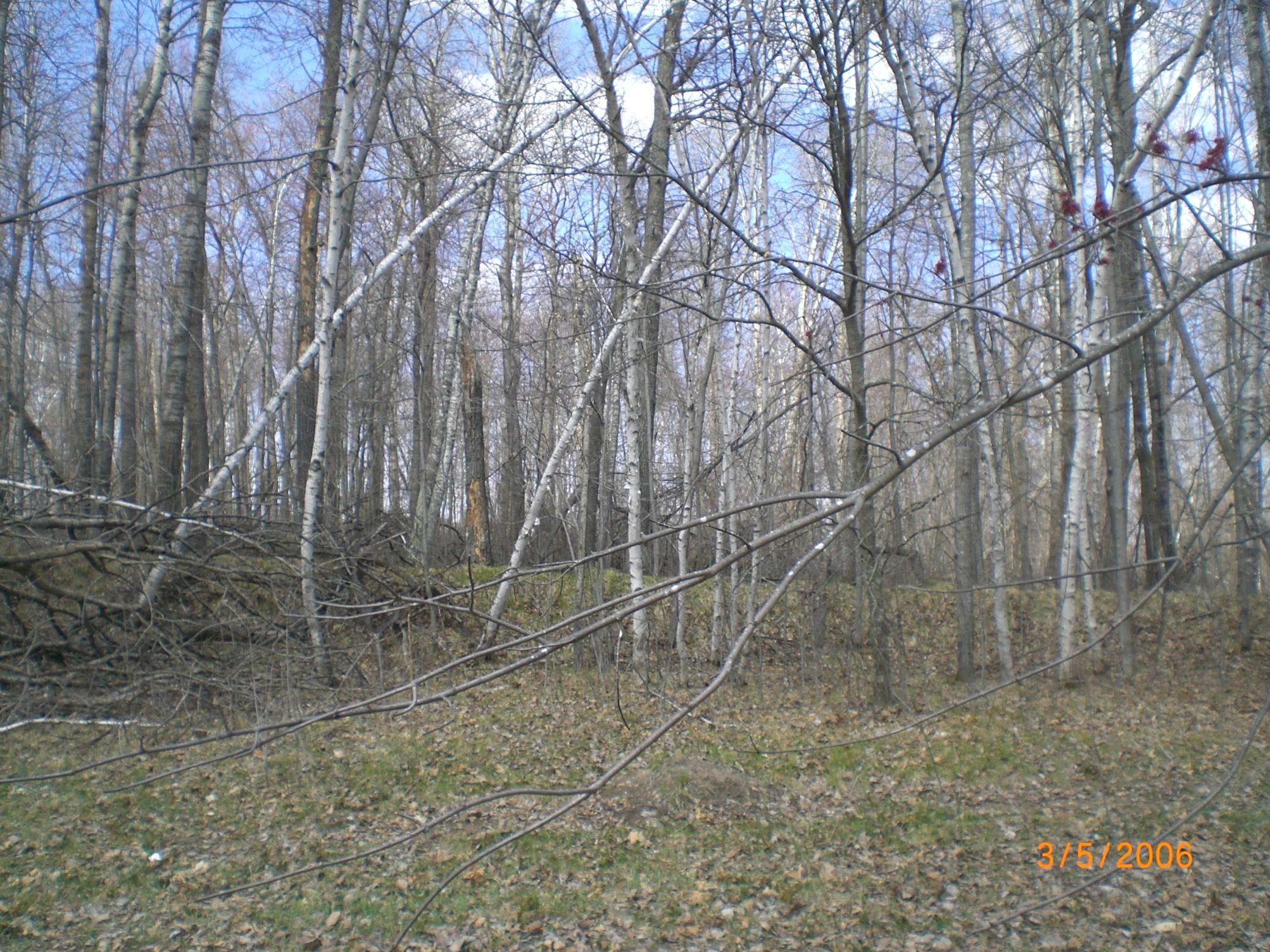land for sale at Lot 211 Catskill Circle in Breezy Point, MN