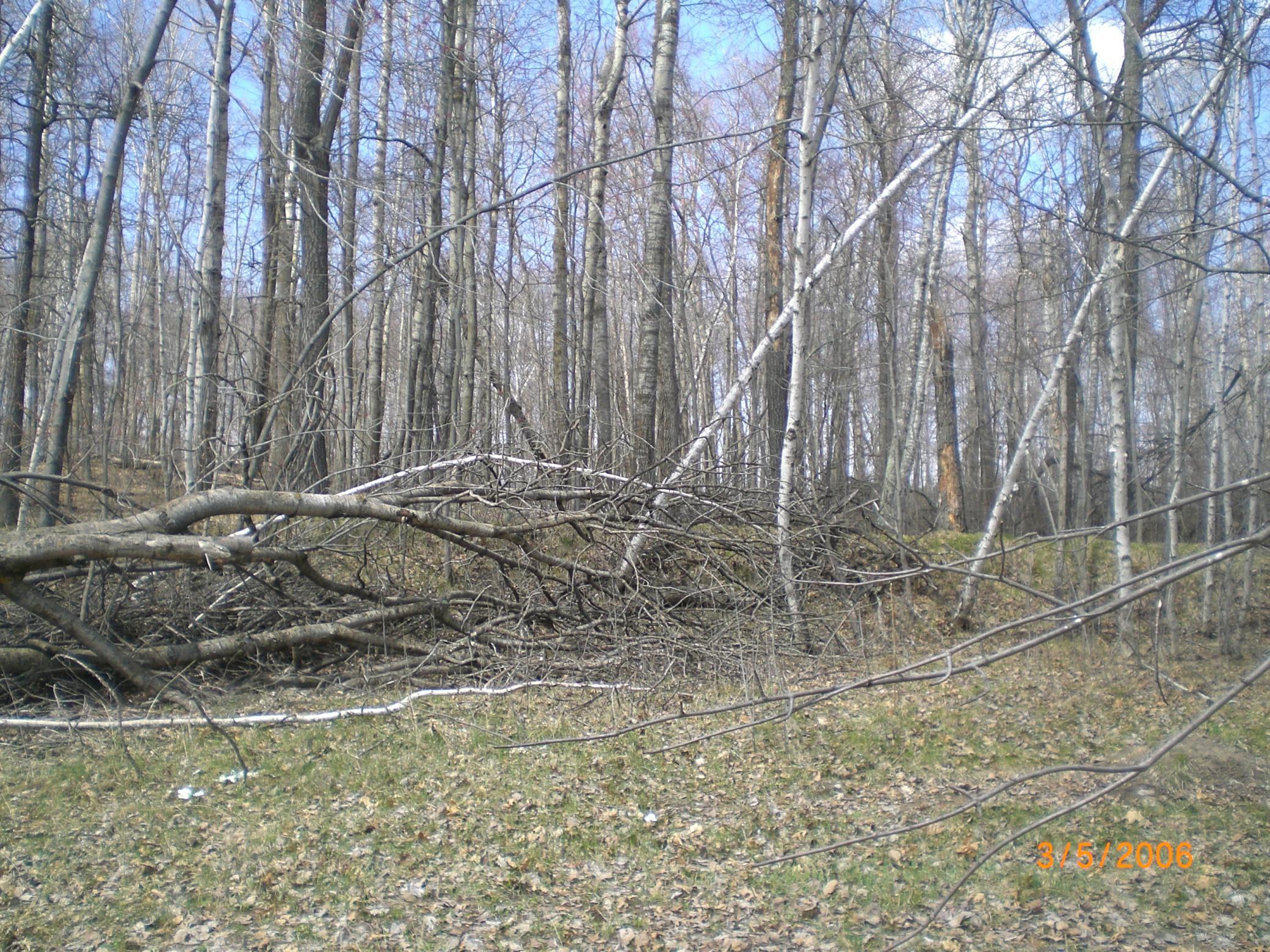 land for sale at Lot 211 Catskill Circle in Breezy Point, MN (photo 2 of 6)