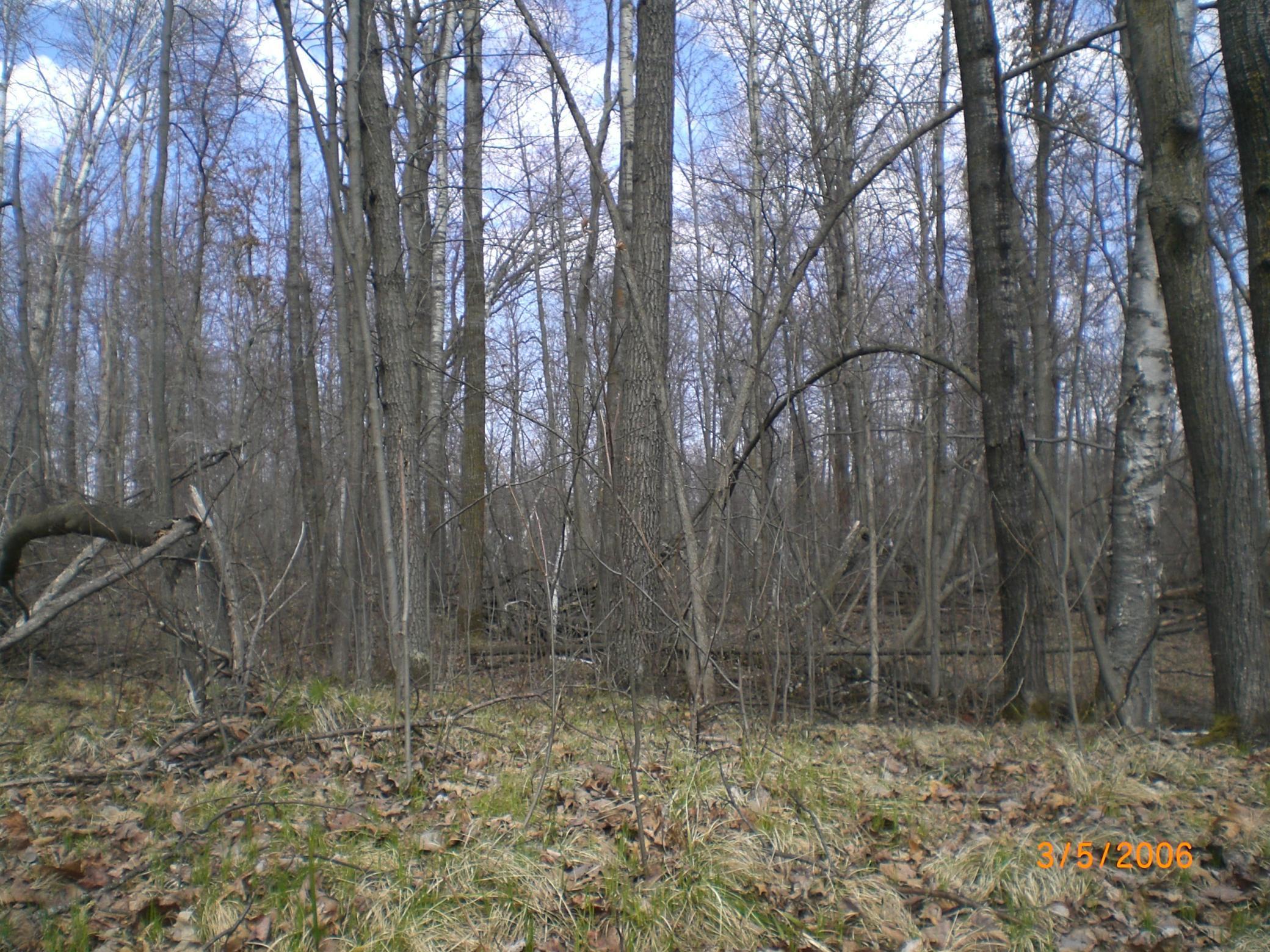 land for sale at Lot 211 Catskill Circle in Breezy Point, MN (photo 5 of 6)