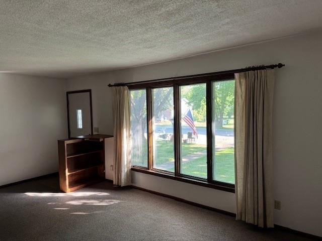 1972 single family home for sale at 206 3rd Street E in Brandon, MN — 3 bed, 2 bath (photo 4 of 21)