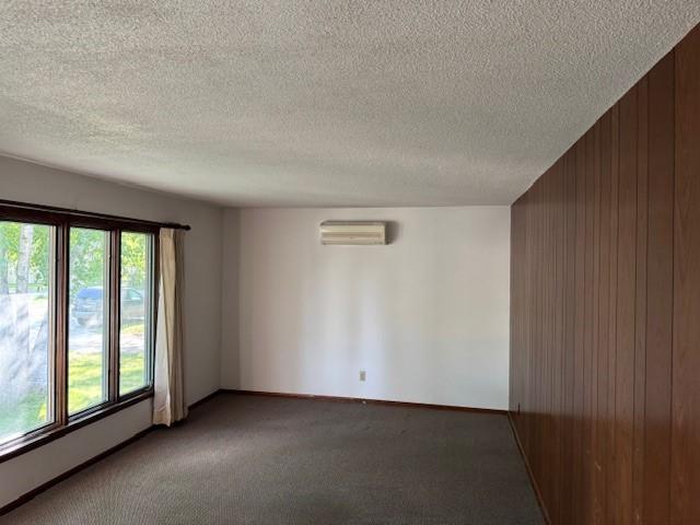 1972 single family home for sale at 206 3rd Street E in Brandon, MN — 3 bed, 2 bath (photo 5 of 21)