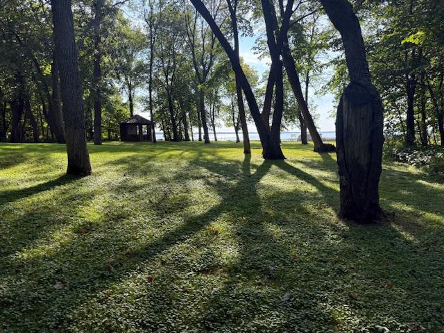 1990 single family home for sale at 28647 State Highway 78 in Battle Lake, MN — 4 bed, 4 bath (photo 91 of 176)