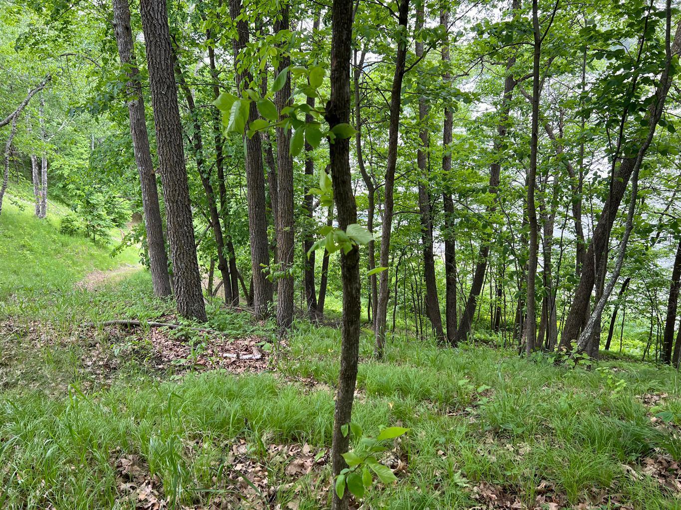 5585 Woods Bay Drive NE, Outing MN 56662 - Photo 22 of 40