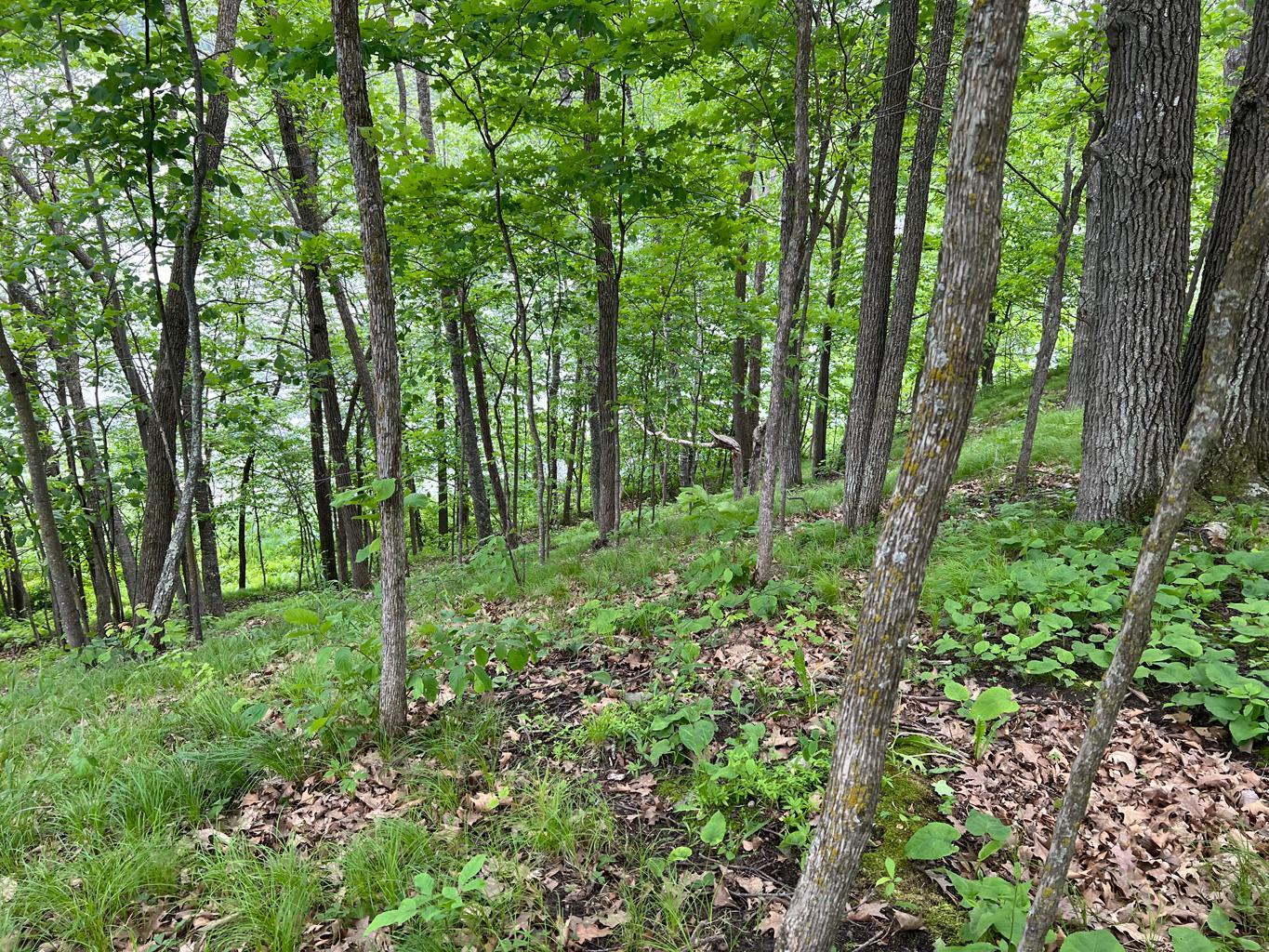 5585 Woods Bay Drive NE, Outing MN 56662 - Photo 23 of 40