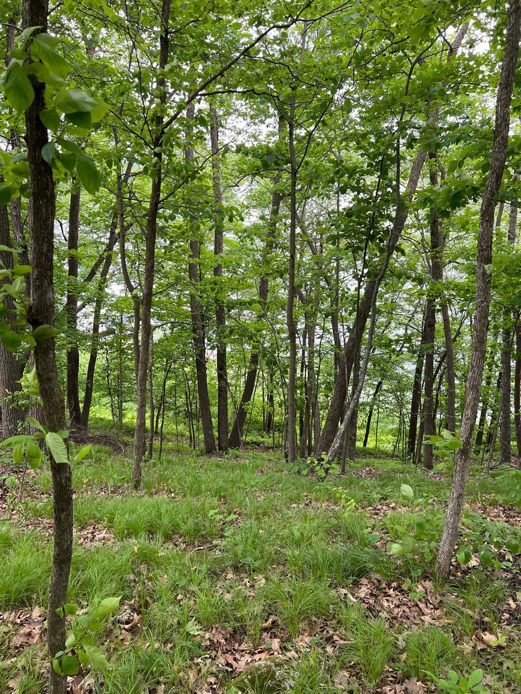 5585 Woods Bay Drive NE, Outing MN 56662 - Photo 25 of 40