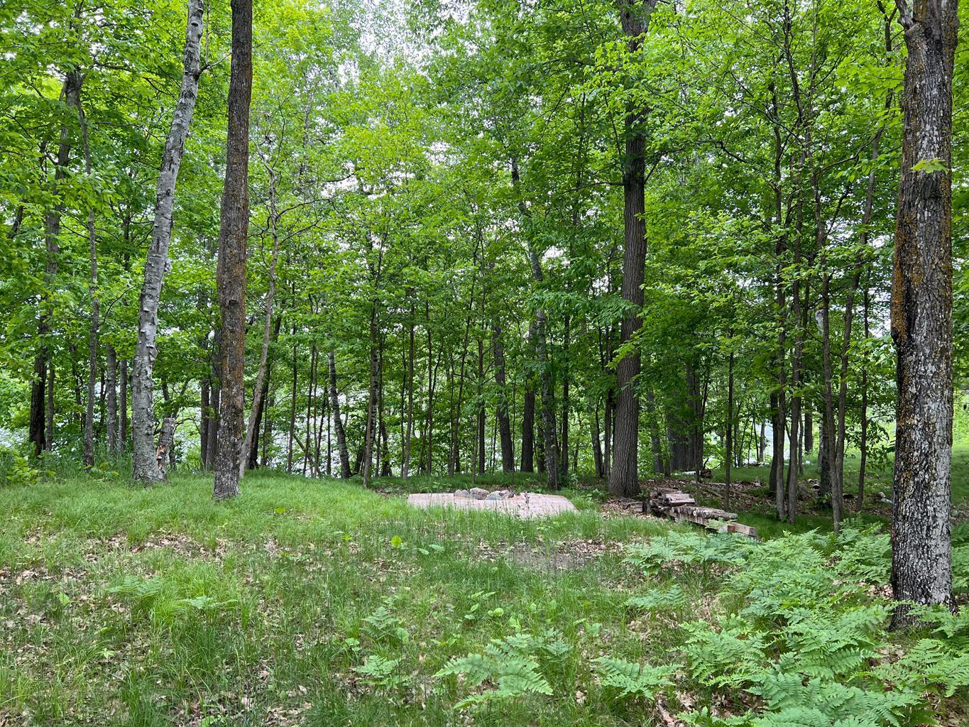5585 Woods Bay Drive NE, Outing MN 56662 - Photo 4 of 40