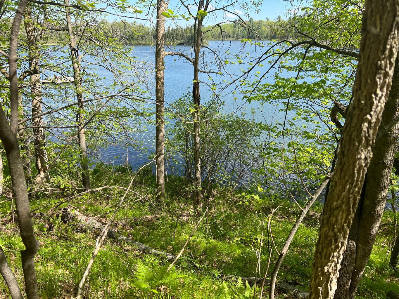 5585 Woods Bay Drive NE, Outing MN 56662 - Photo 35 of 40