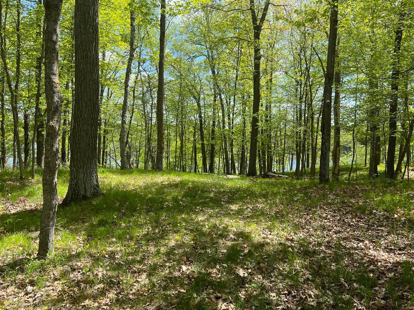 5585 Woods Bay Drive NE, Outing MN 56662 - Photo 37 of 40