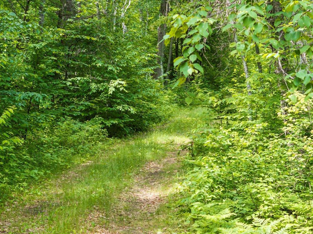 land for sale at TBD Dog Leg in Pequot Lakes, MN (photo 11 of 18)