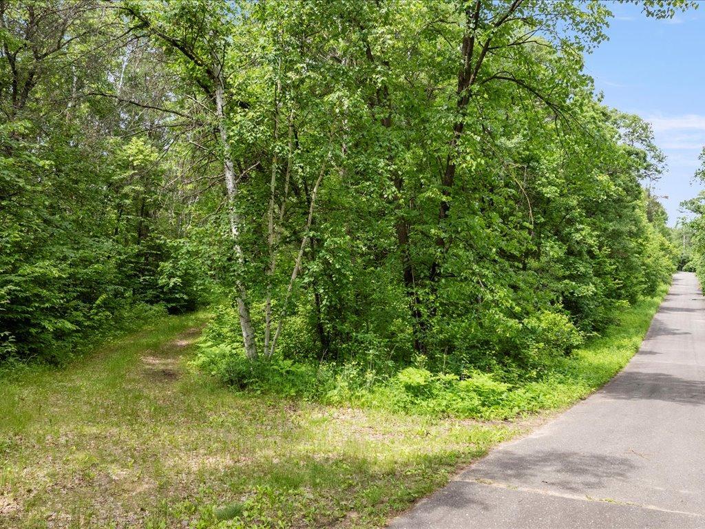 land for sale at TBD Dog Leg in Pequot Lakes, MN (photo 3 of 18)