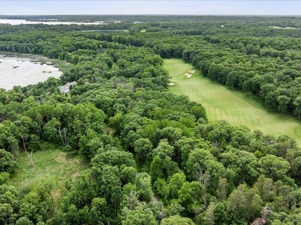 land for sale at TBD Dog Leg in Pequot Lakes, MN (photo 7 of 18)