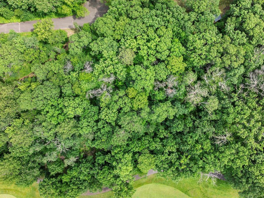 land for sale at TBD Dog Leg in Pequot Lakes, MN (photo 8 of 18)
