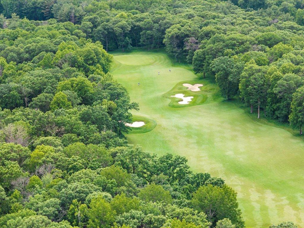 land for sale at TBD Dog Leg in Pequot Lakes, MN (photo 9 of 18)