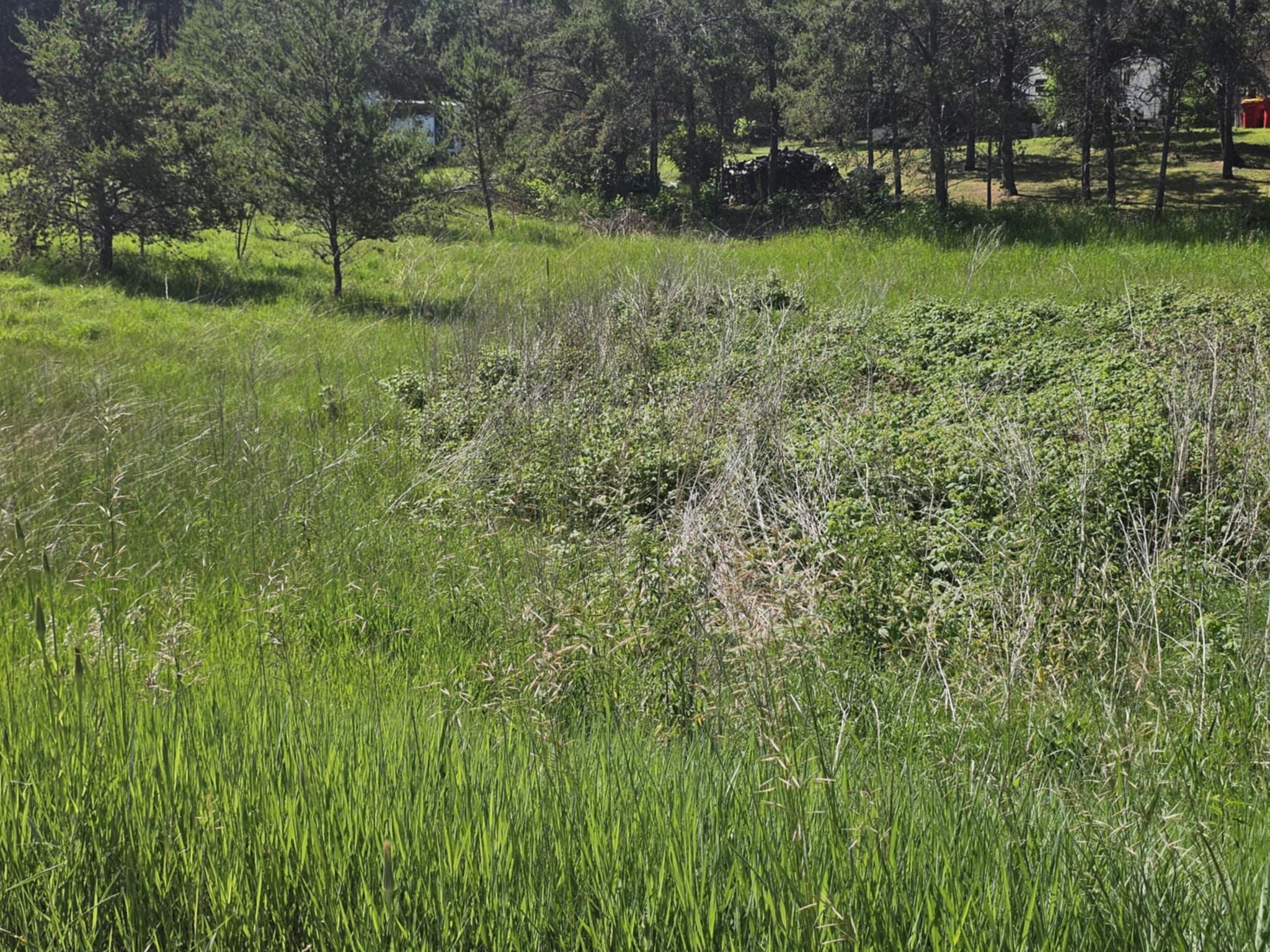 land for sale at tbd 1st Ave in Breezy Point, MN (photo 4 of 7)